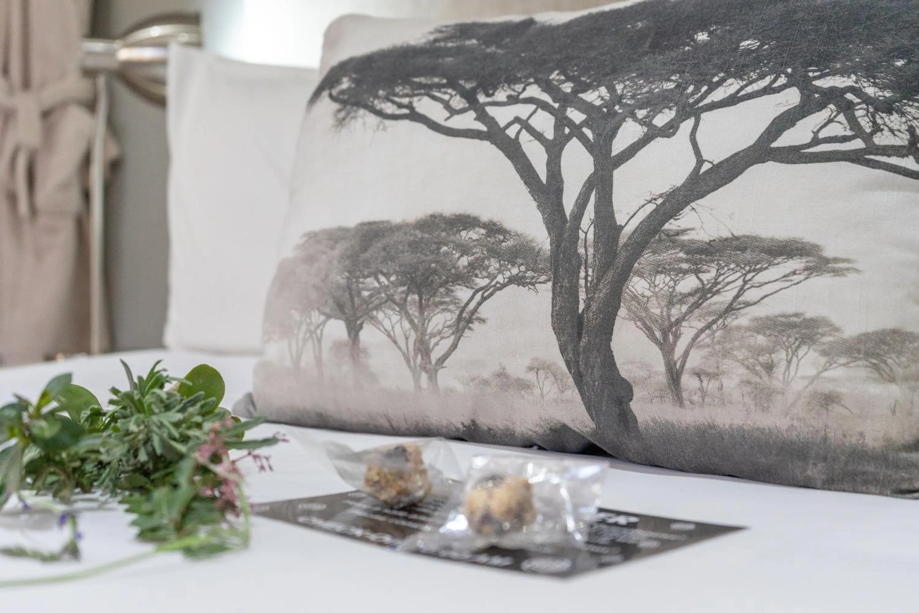 Decorative detail in De Akker Guest House Oudtshoorn