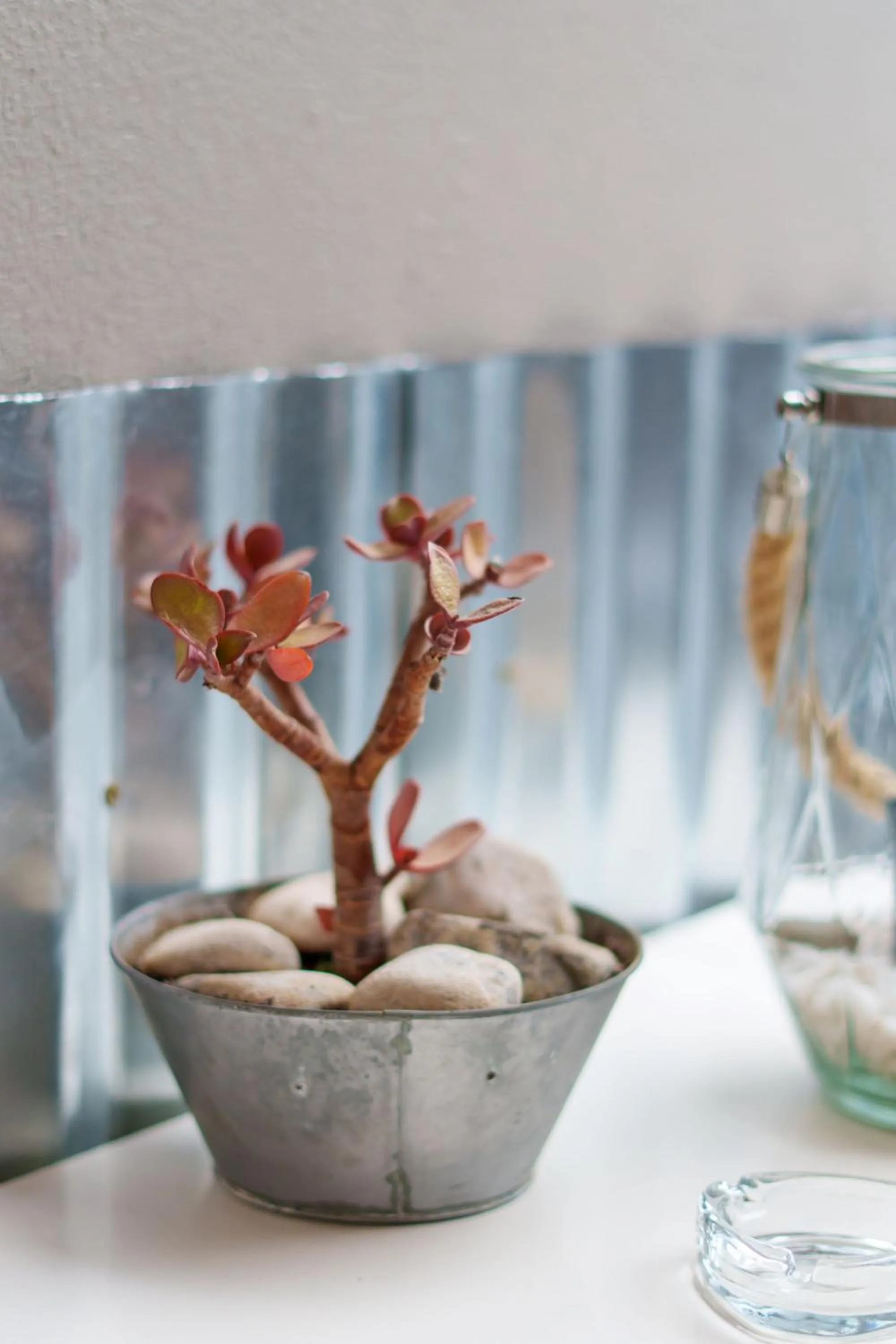 Decorative detail in De Akker Guest House Oudtshoorn