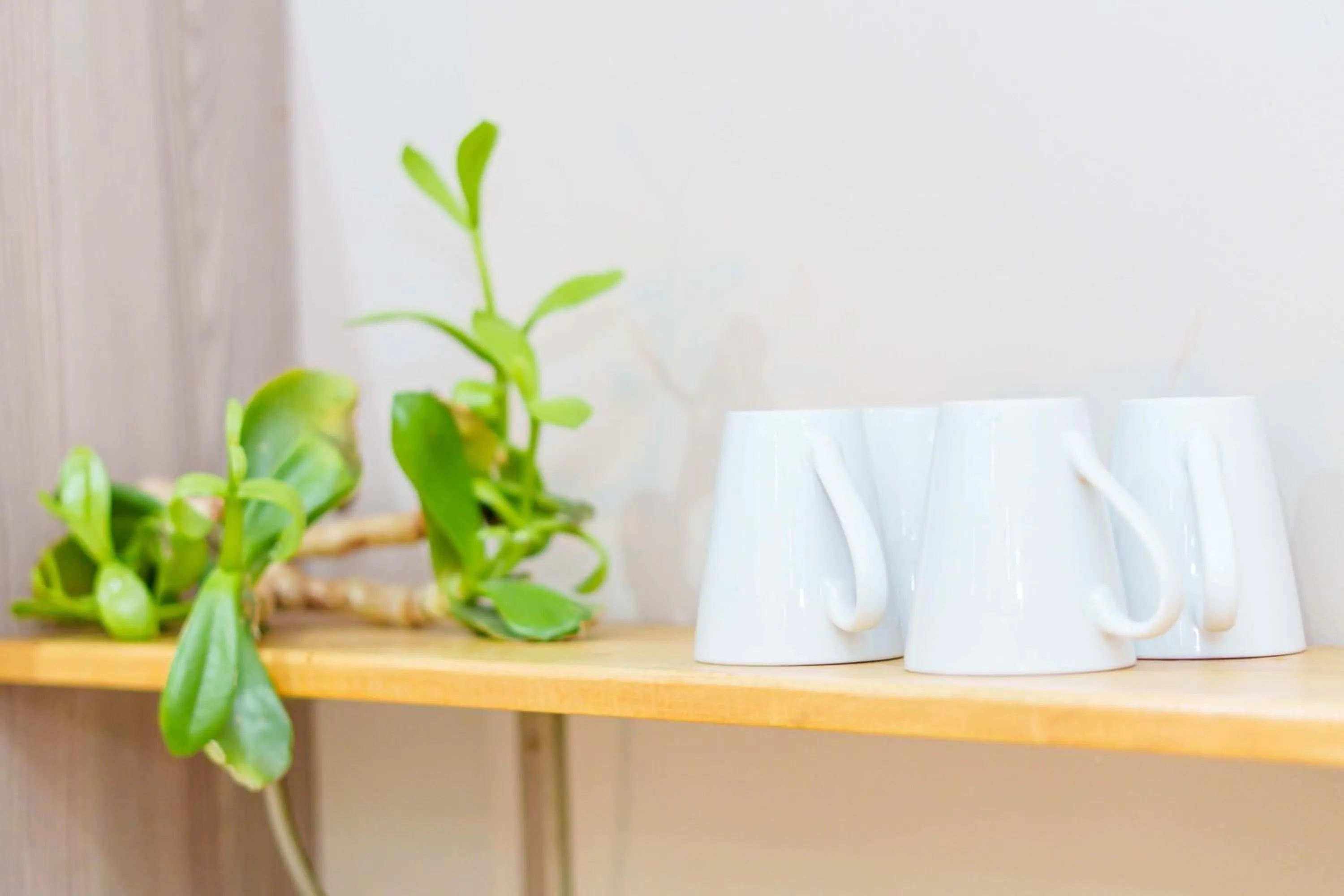 Decorative detail in De Akker Guest House Oudtshoorn