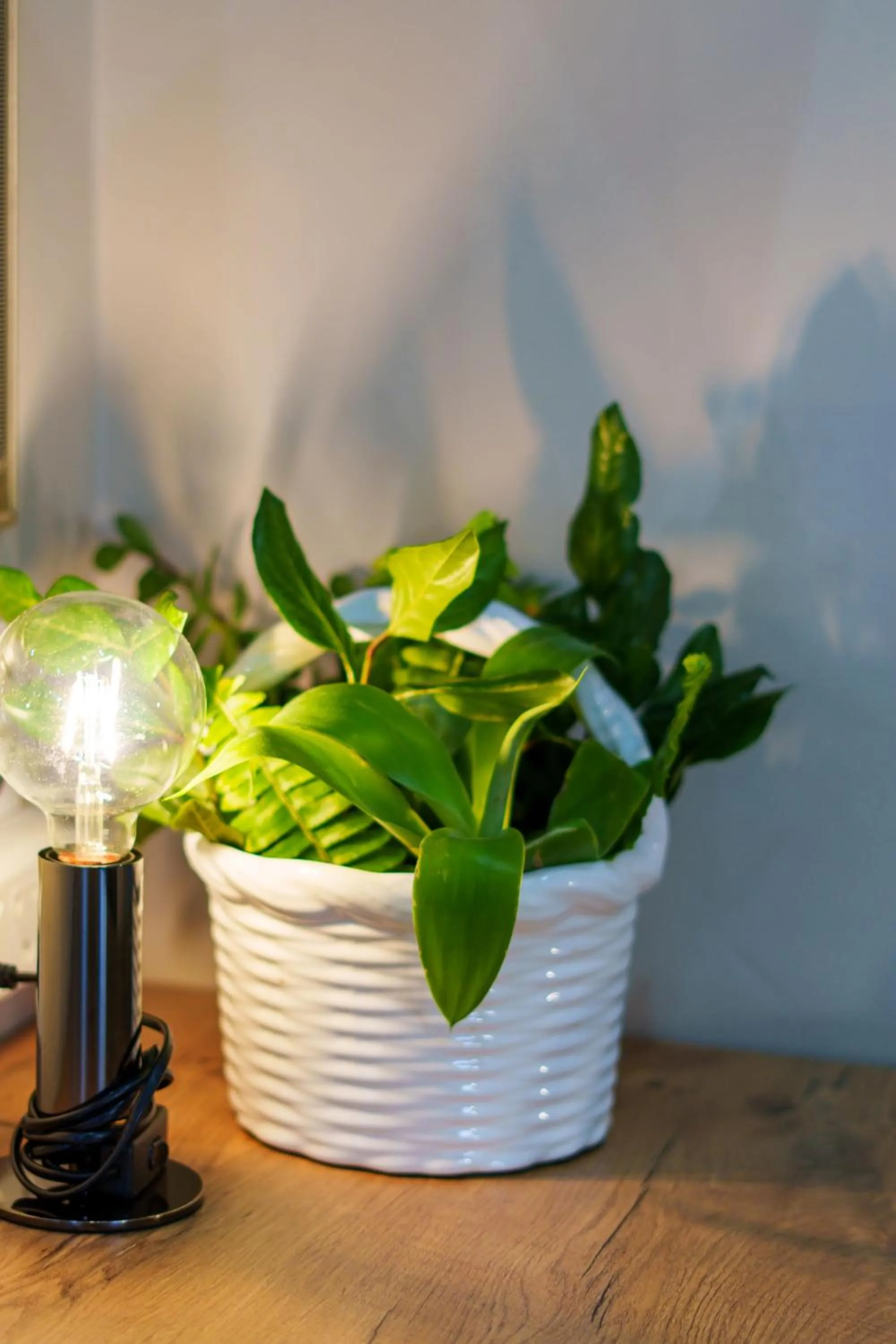 Decorative detail in De Akker Guest House Oudtshoorn