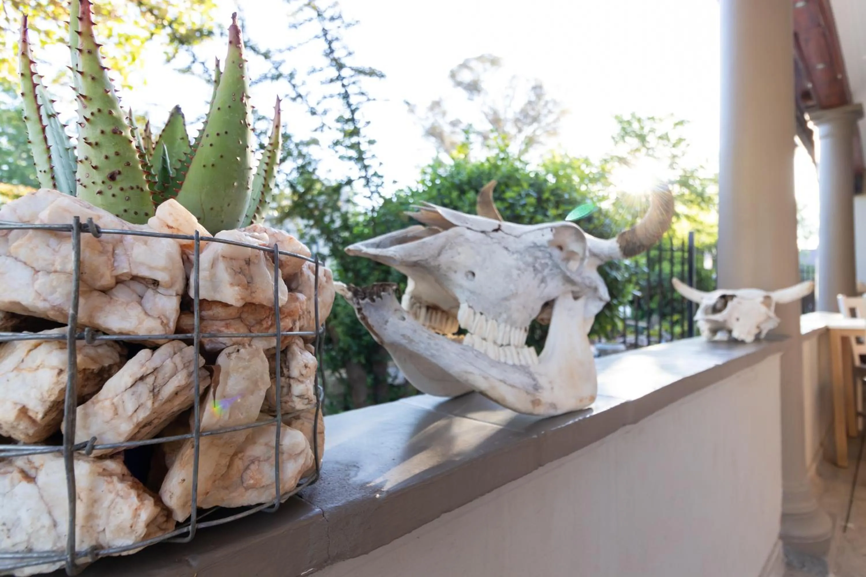 Decorative detail in De Akker Guest House Oudtshoorn