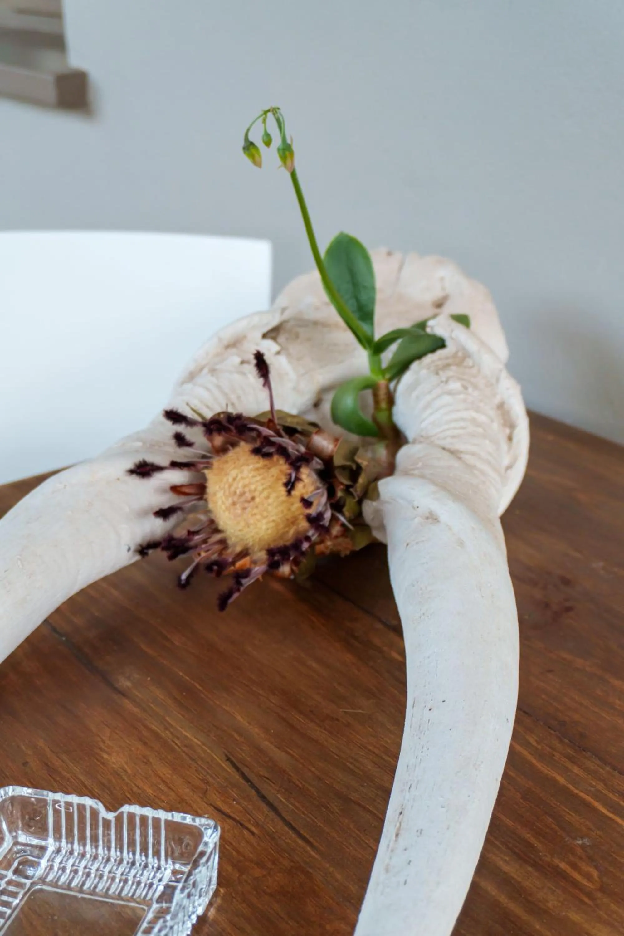 Decorative detail in De Akker Guest House Oudtshoorn