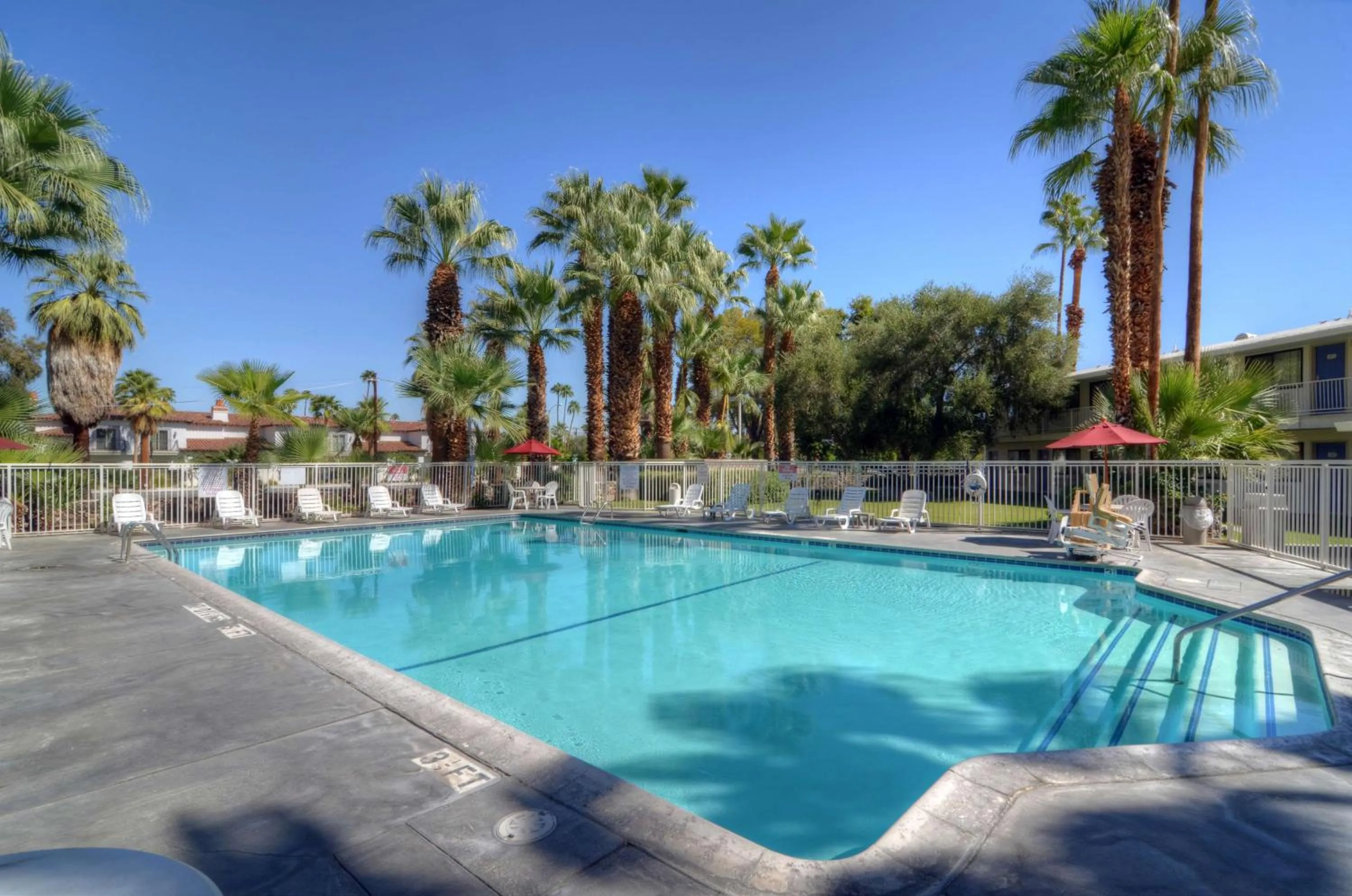 Pool view in Motel 6-Palm Springs, CA - East - Palm Canyon
