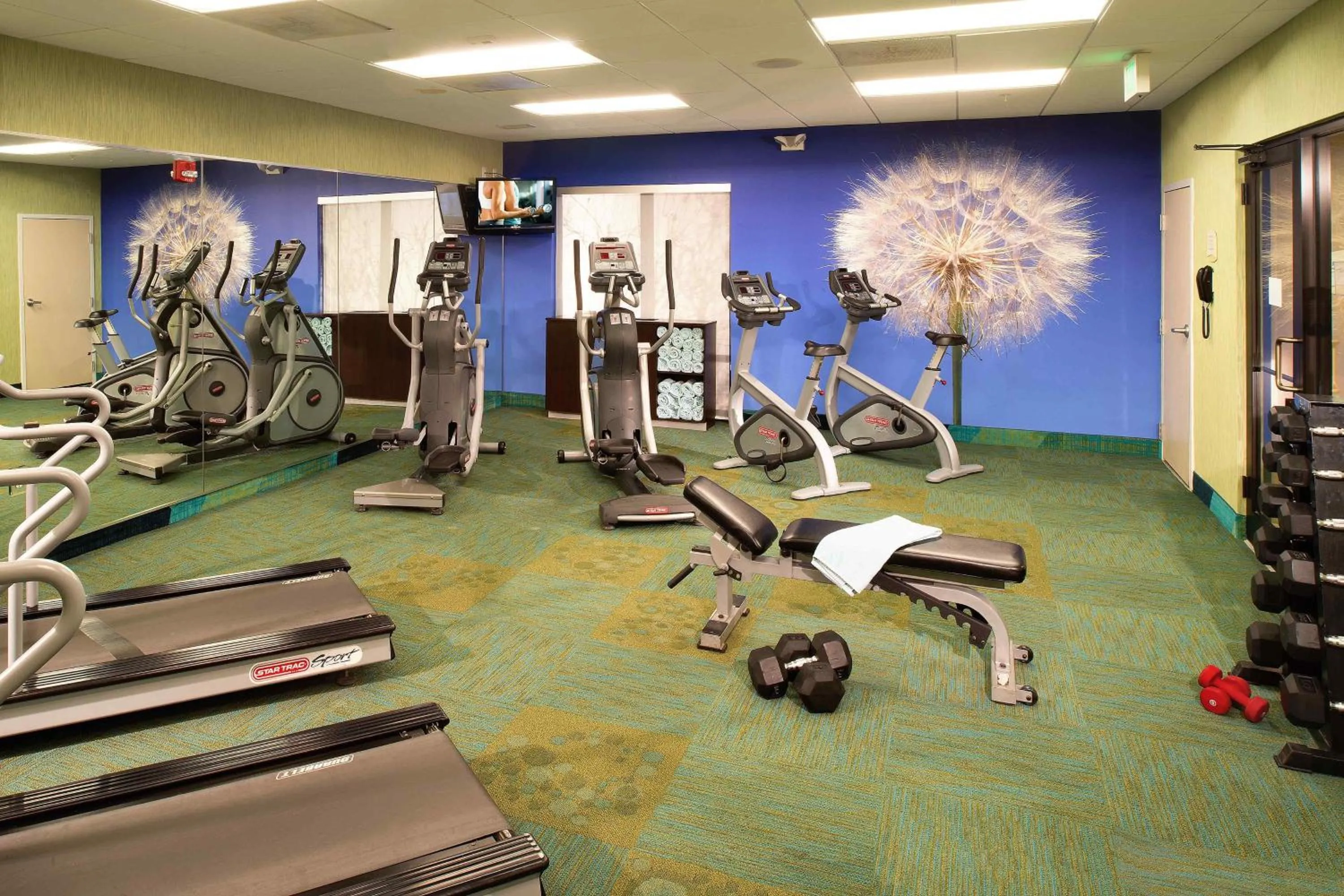 Fitness centre/facilities in SpringHill Suites by Marriott Annapolis