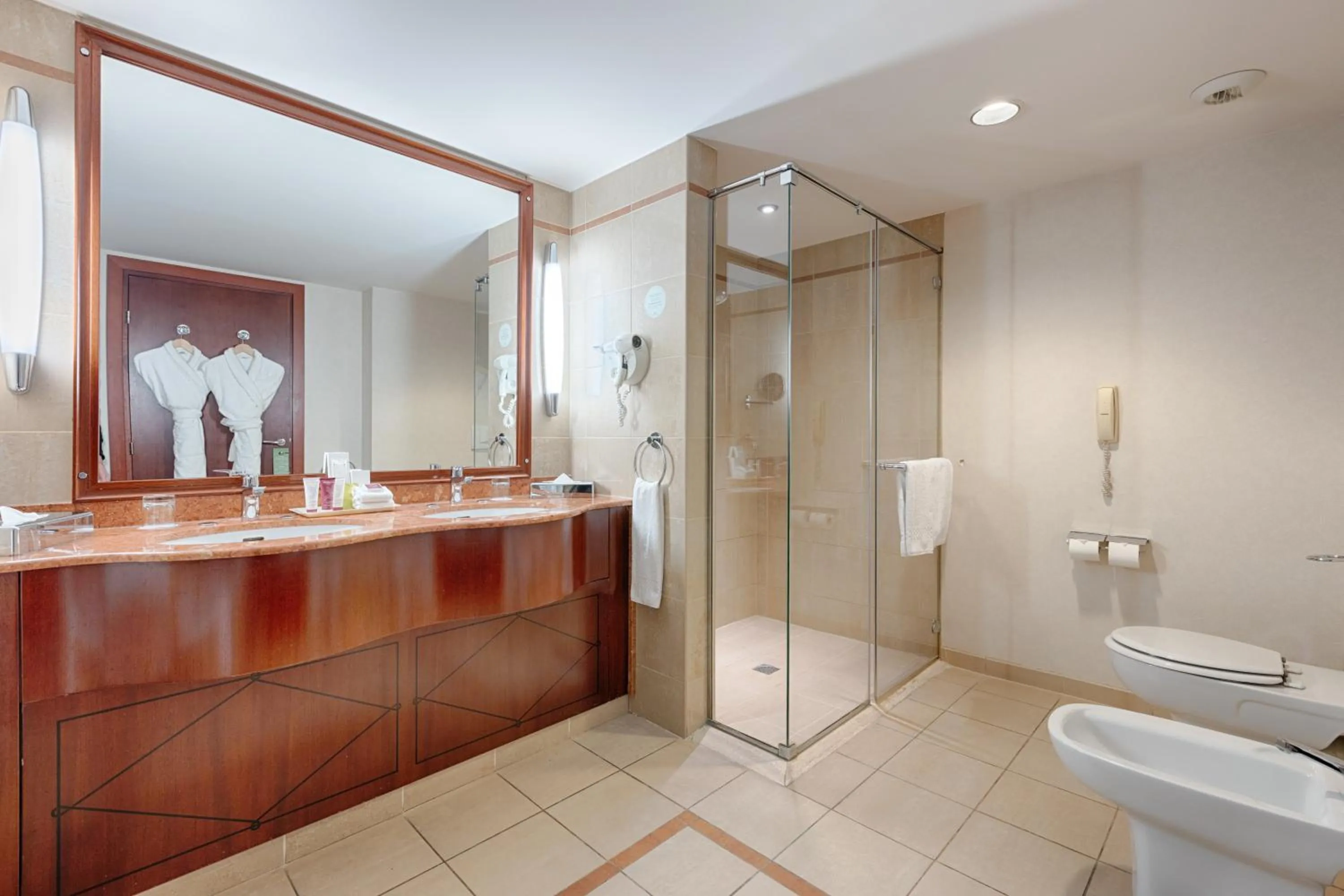 Shower in Occidental Paris Levallois