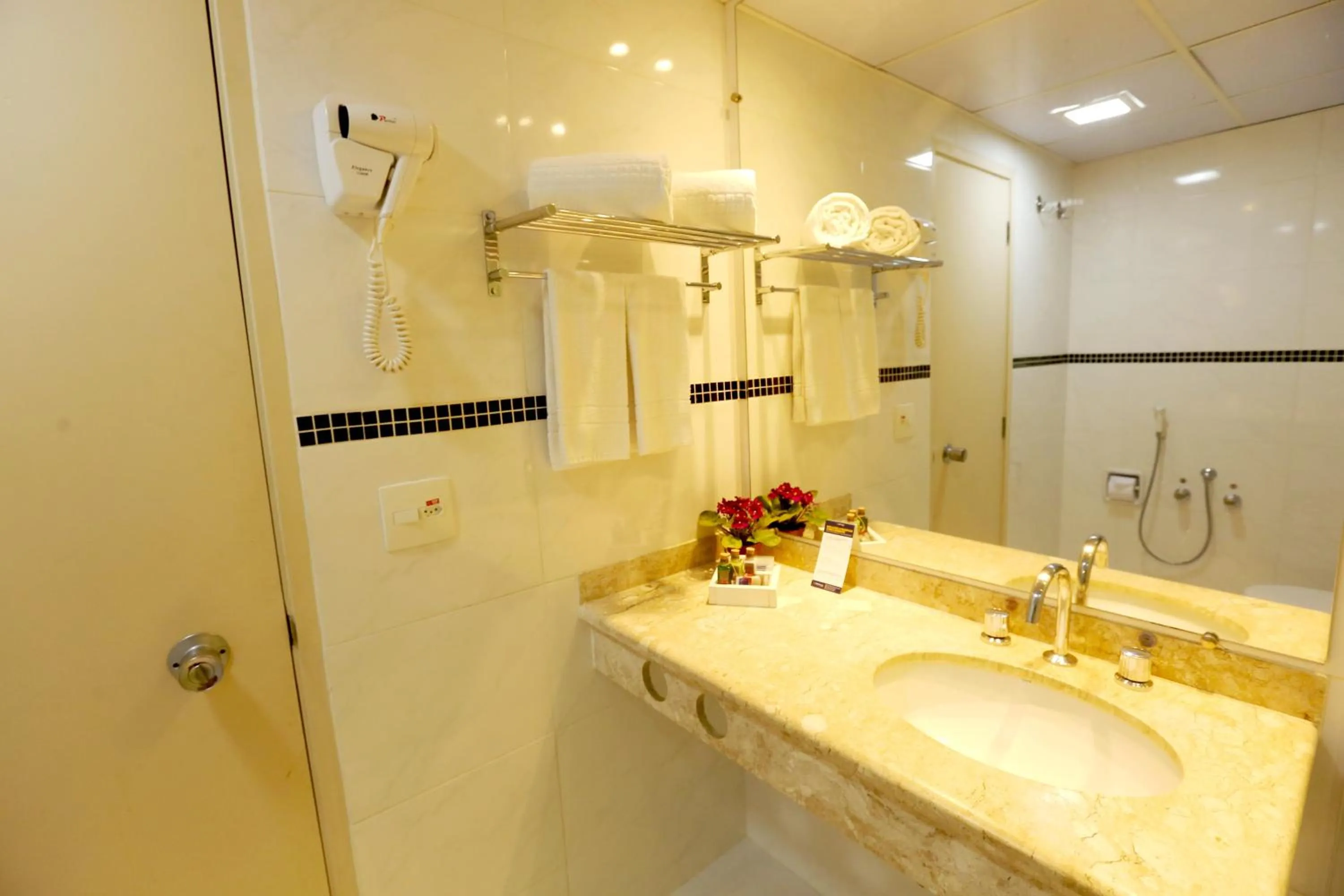 Bathroom in Hotel Premium Campinas