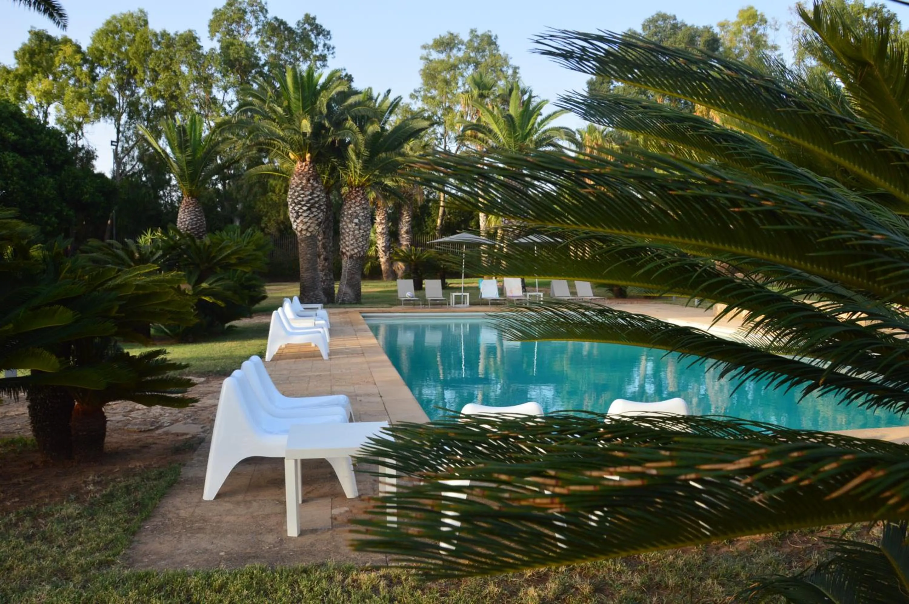 Swimming pool in Casa Realia