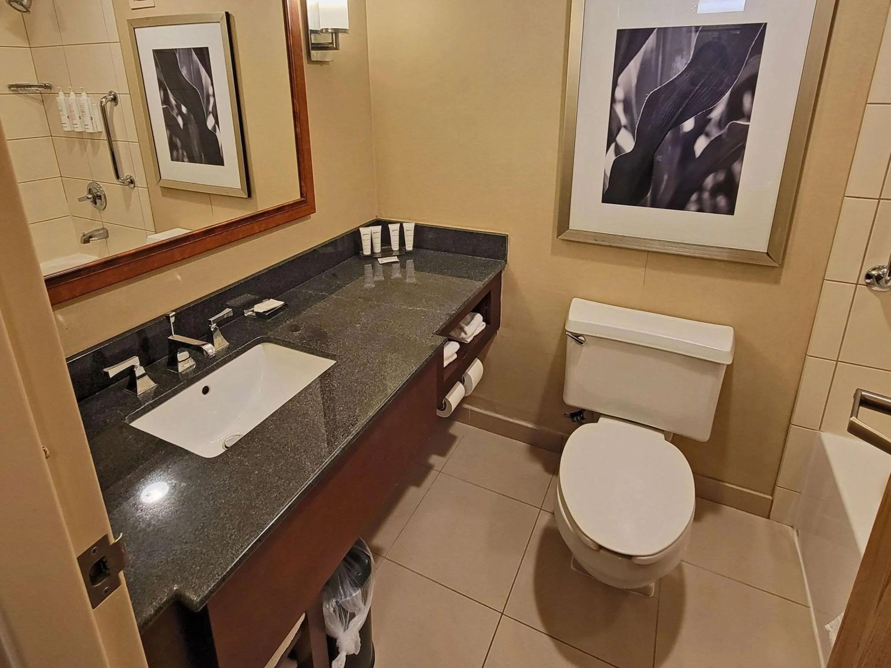 Bedroom in Radisson Hotel Cedar Rapids