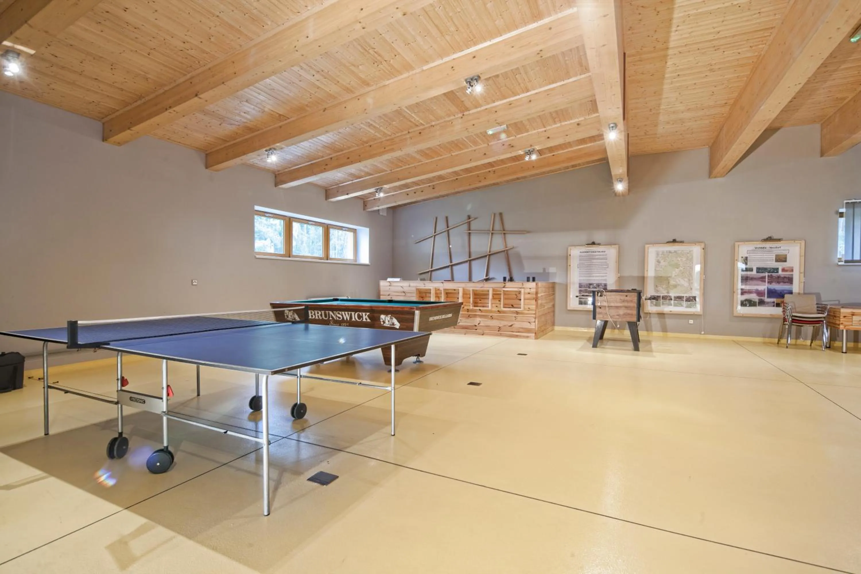 Billiard in Hotel Relax Vrchbela