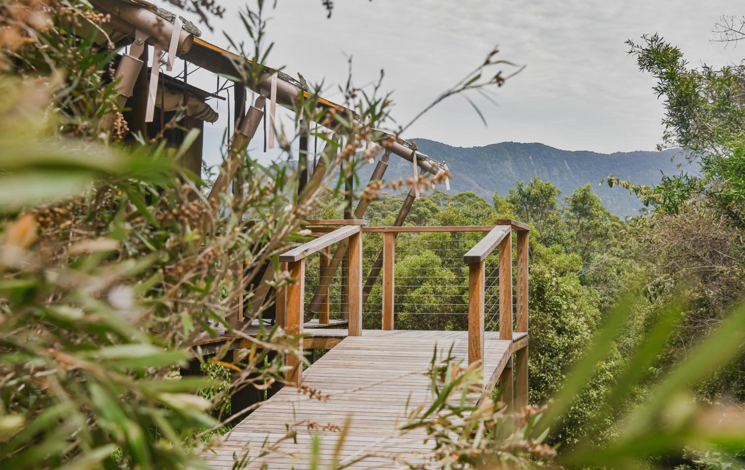 Silk Pavilions Glamping