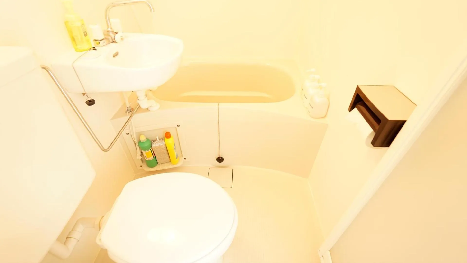 Toilet in House Ikebukuro