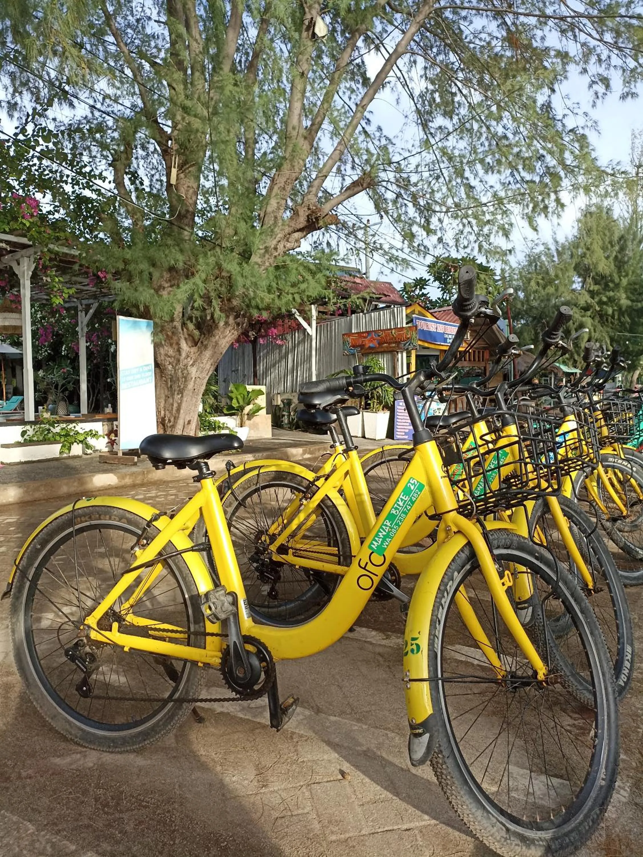 Day in Villa Almarik Resort