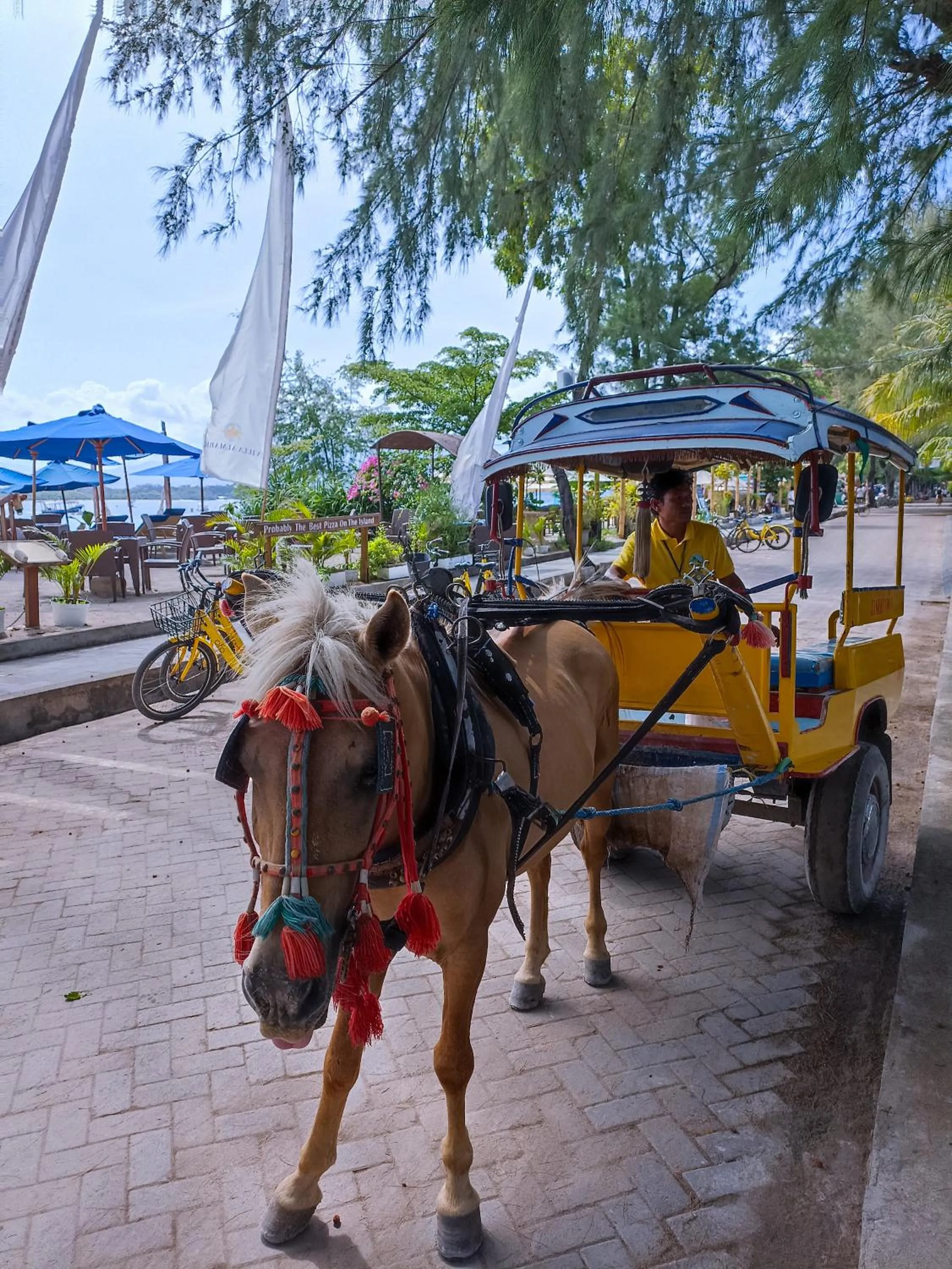 Day in Villa Almarik Resort