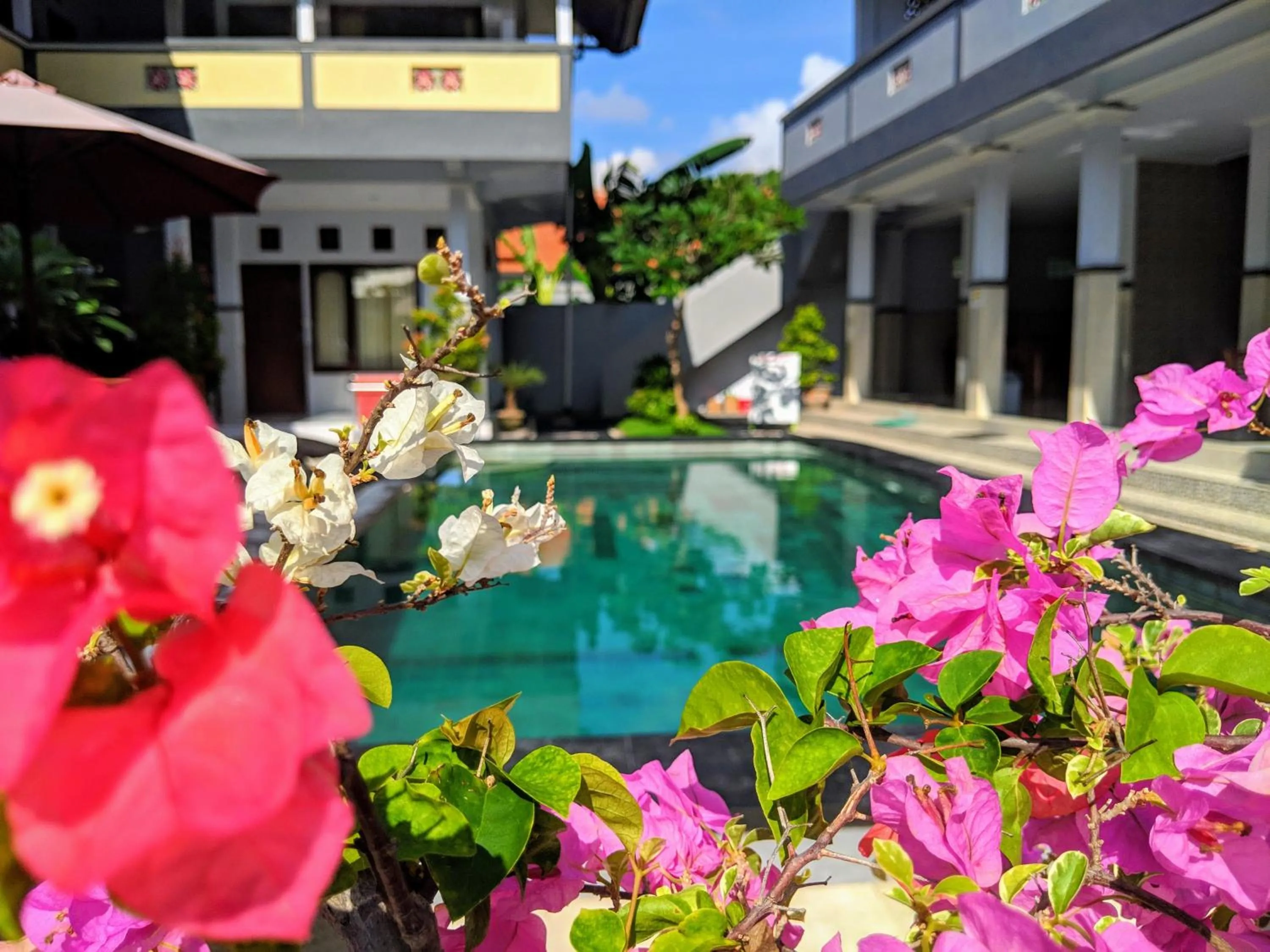Garden in Serangan Inn Mimba