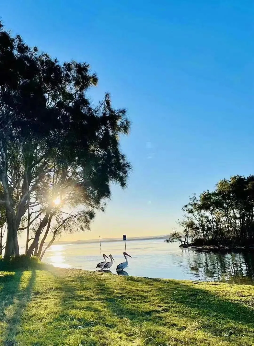 Nearby landmark in El Lago Waters Hotel