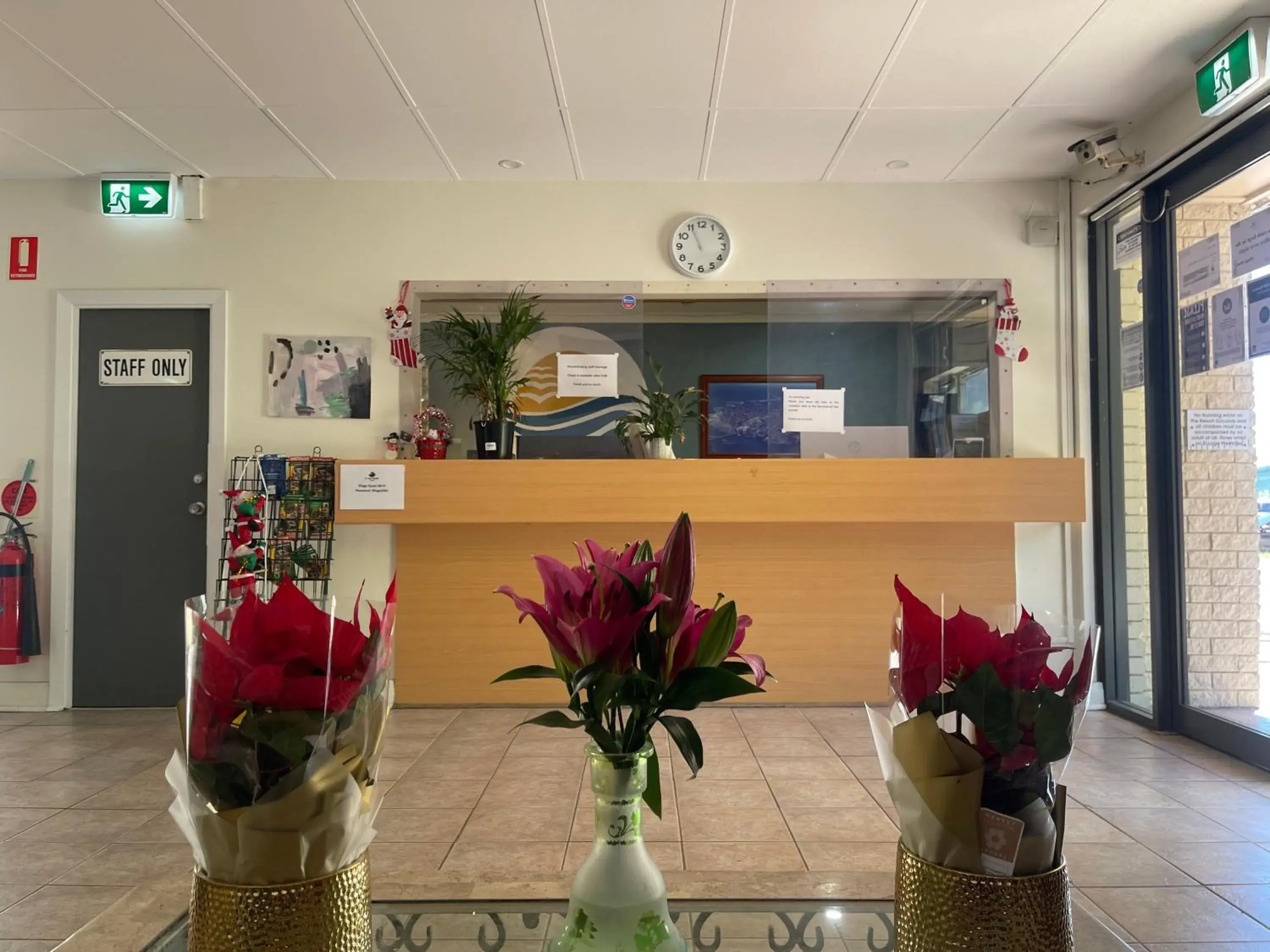 Standard Double Room with Pool View in El Lago Waters Hotel Standard Double Room with Pool View in El Lago Waters Hotel