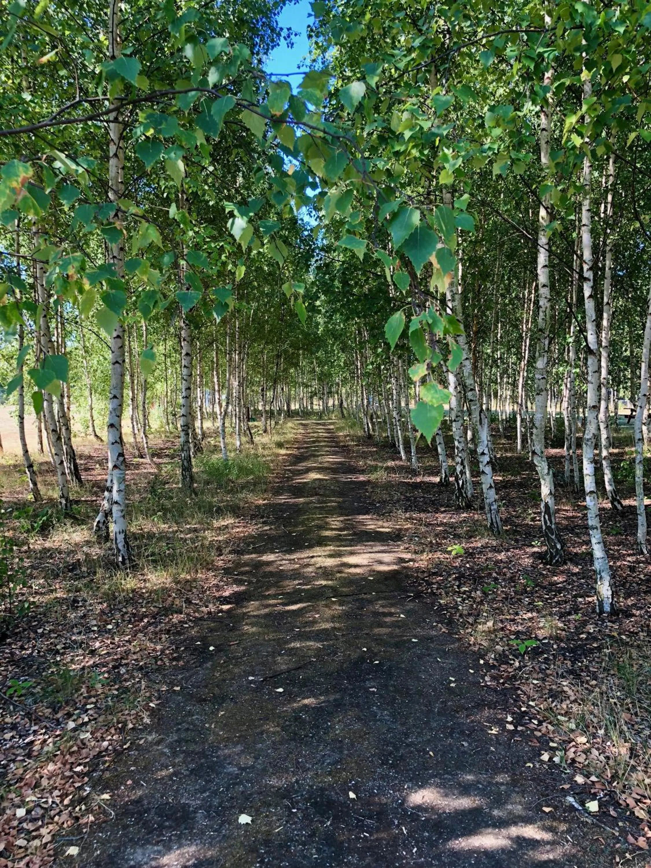 Neighbourhood in Danhostel Ishøj Strand