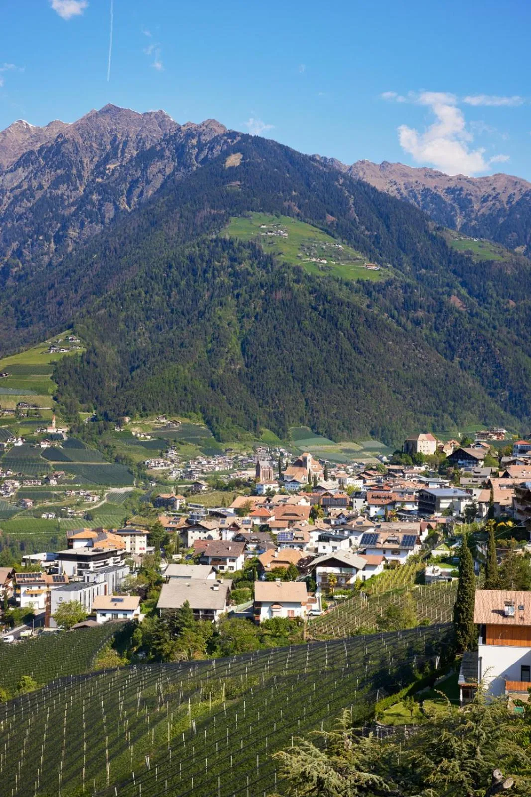 View (from property/room) in Hotel-Garni Ehrenfels
