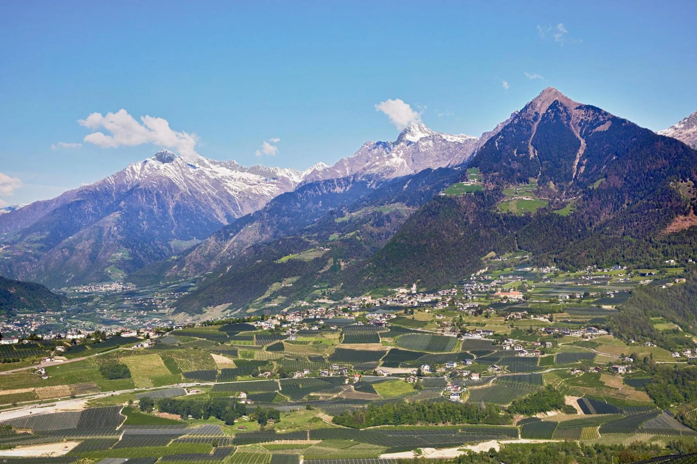 View (from property/room) in Hotel-Garni Ehrenfels