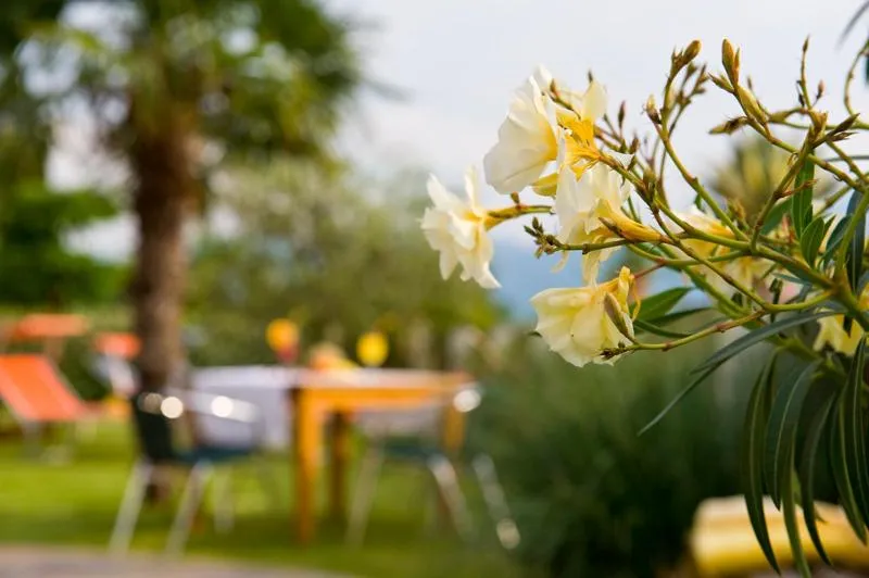Garden in Hotel-Garni Ehrenfels