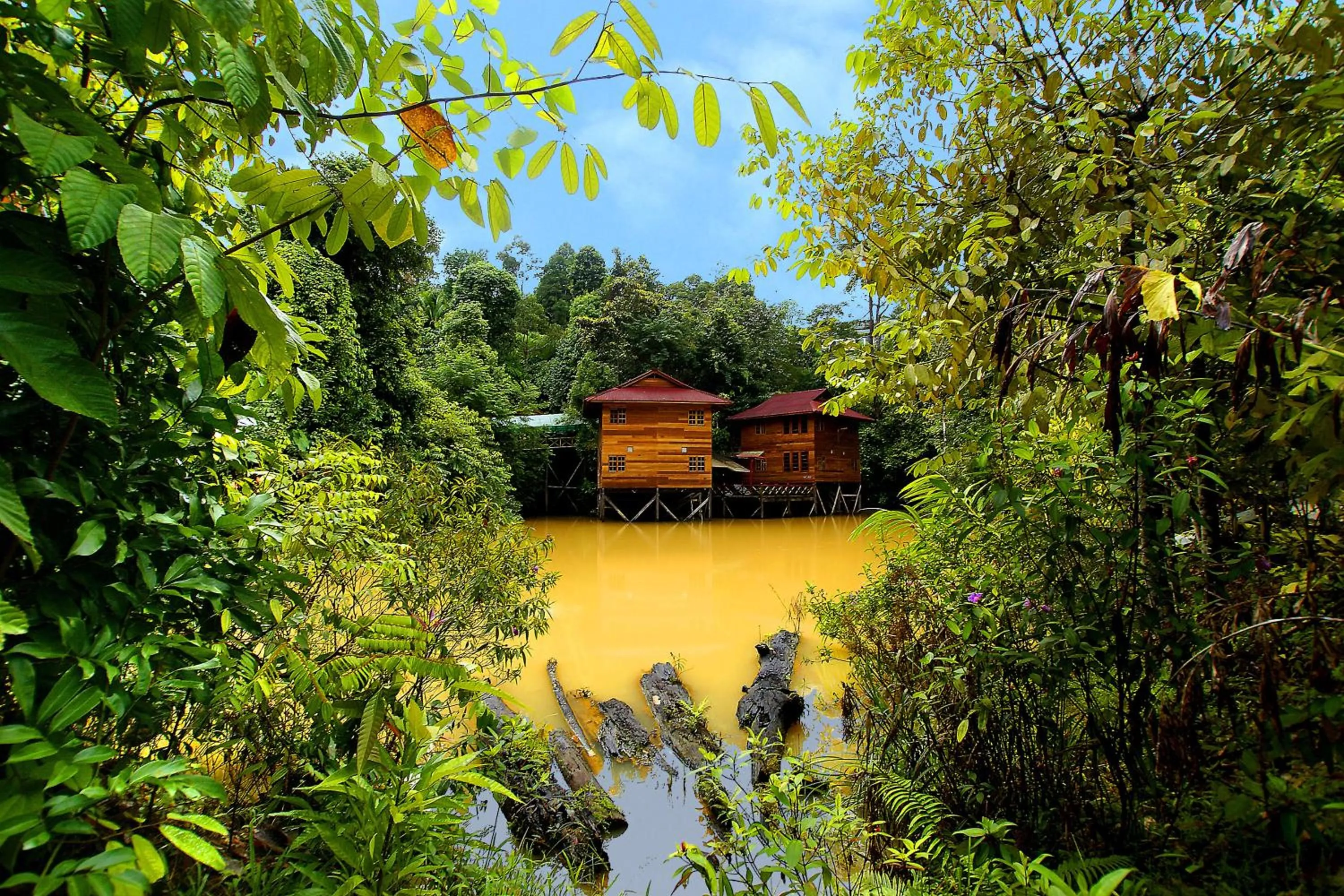 Lake view in Borneo Tropical Rainforest Resort