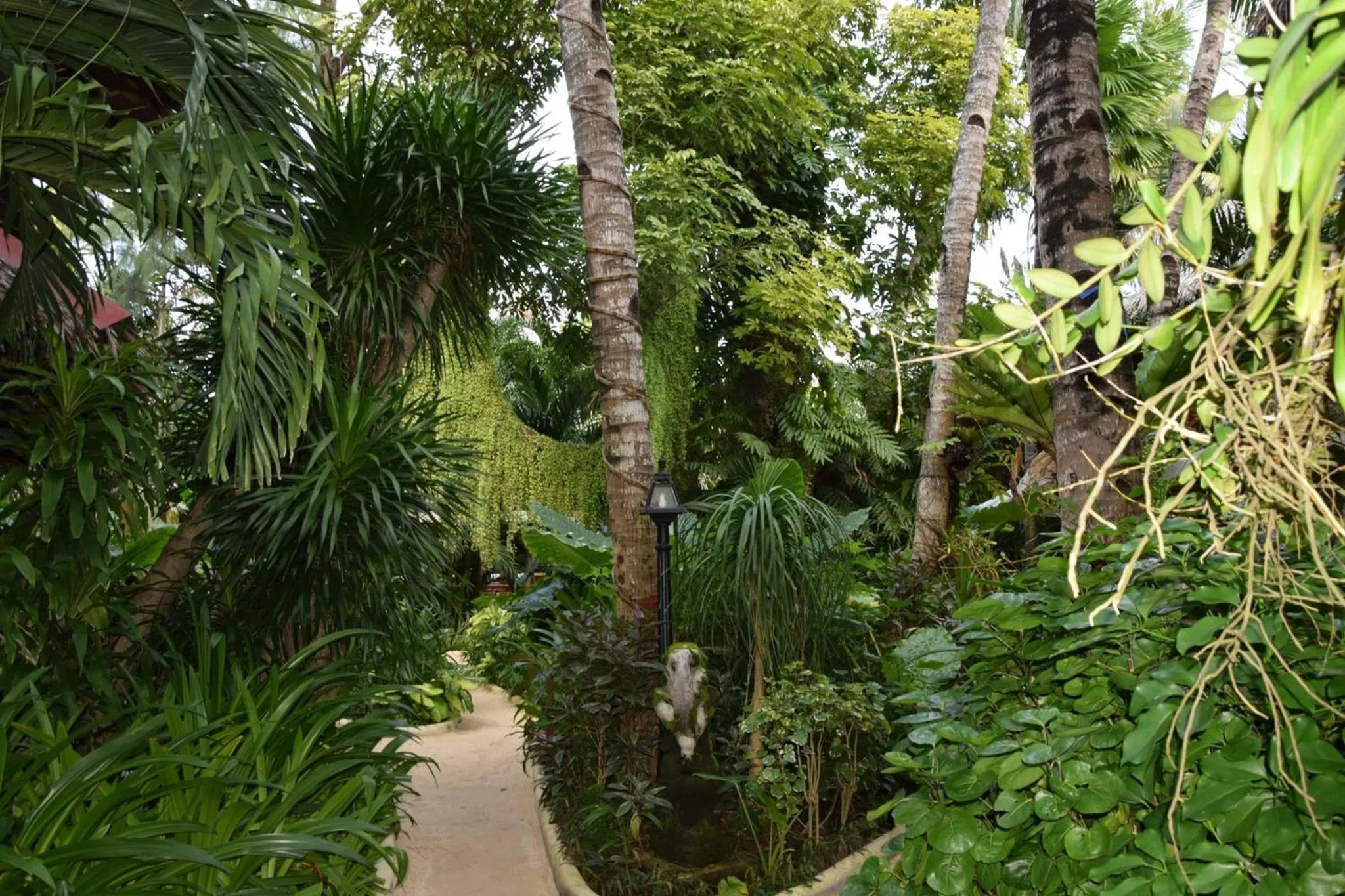 Garden in Nigi Nigi Nu Noos 'e' Nu Nu Noos