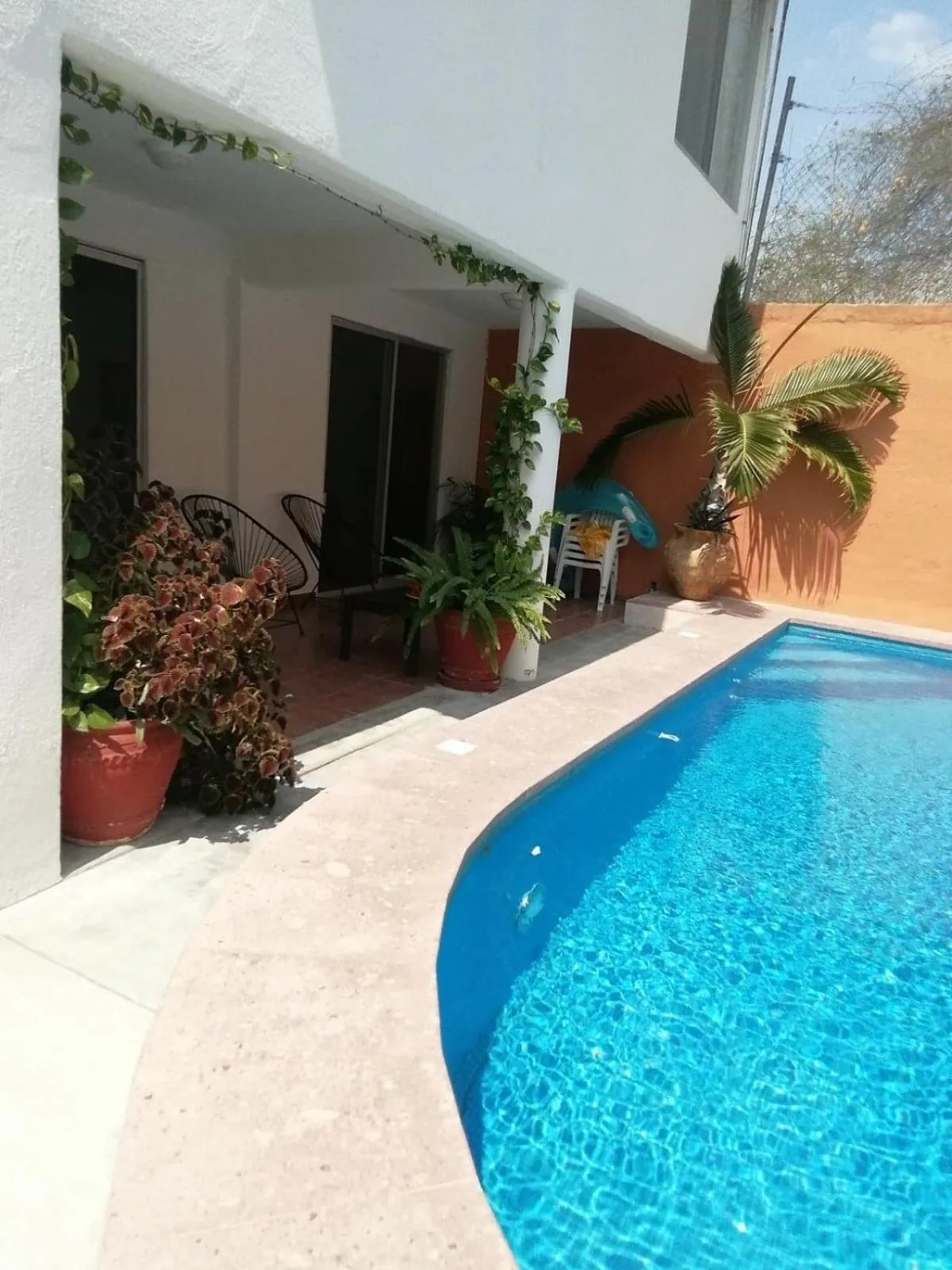 Swimming pool in La Vivienda Villa
