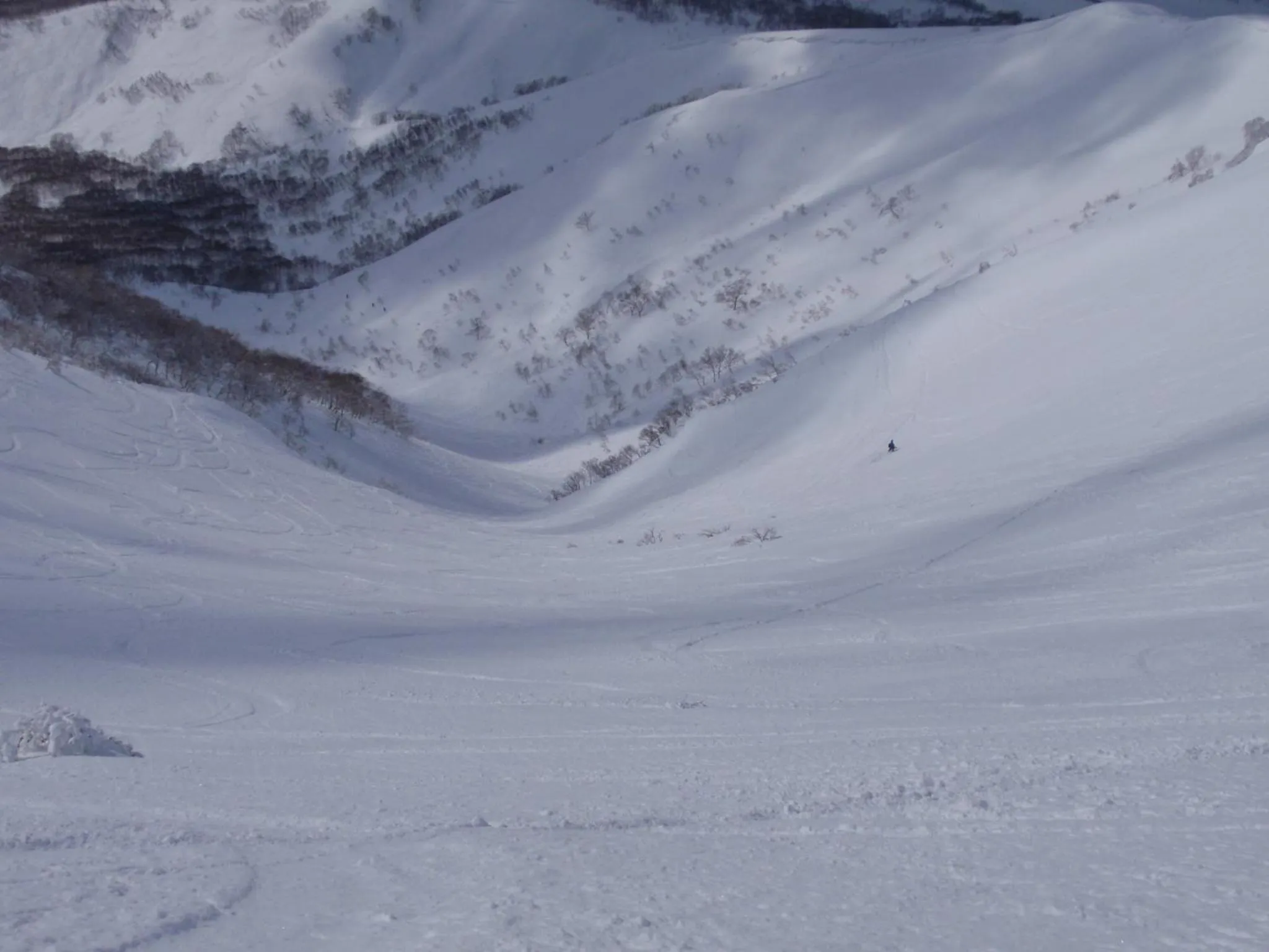 Natural landscape in Annupuri Oasis Lodge