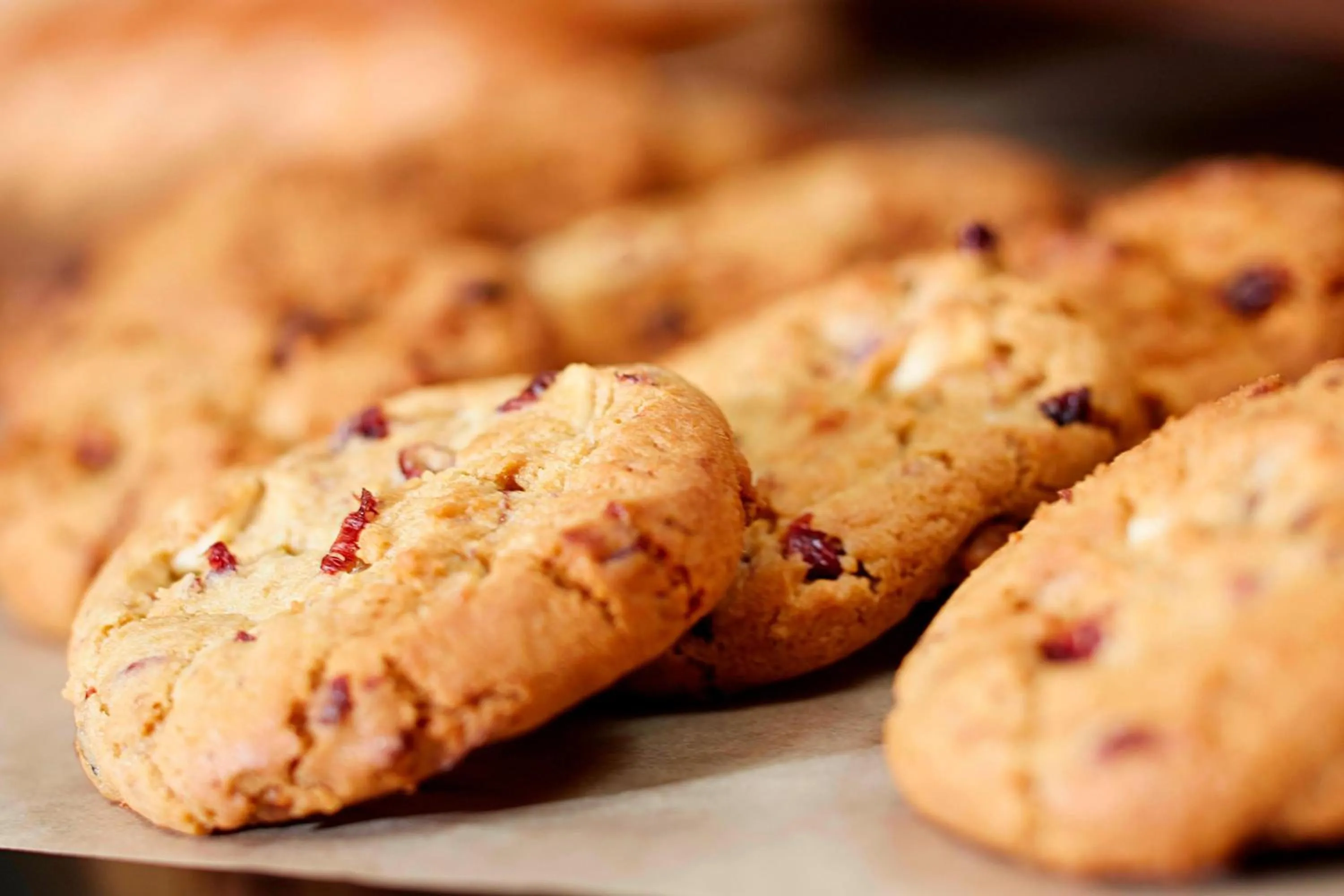Meeting/conference room in Marriott Cincinnati Airport