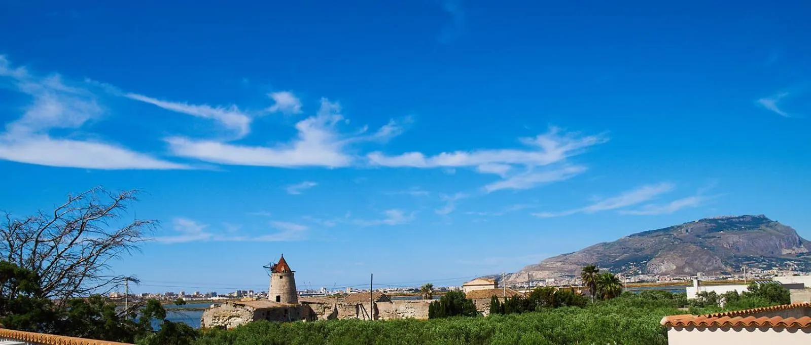 View (from property/room) in Casolare Nelle Saline