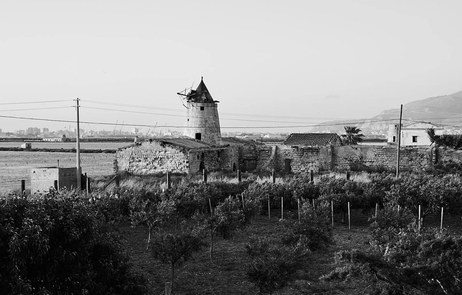 View (from property/room) in Casolare Nelle Saline