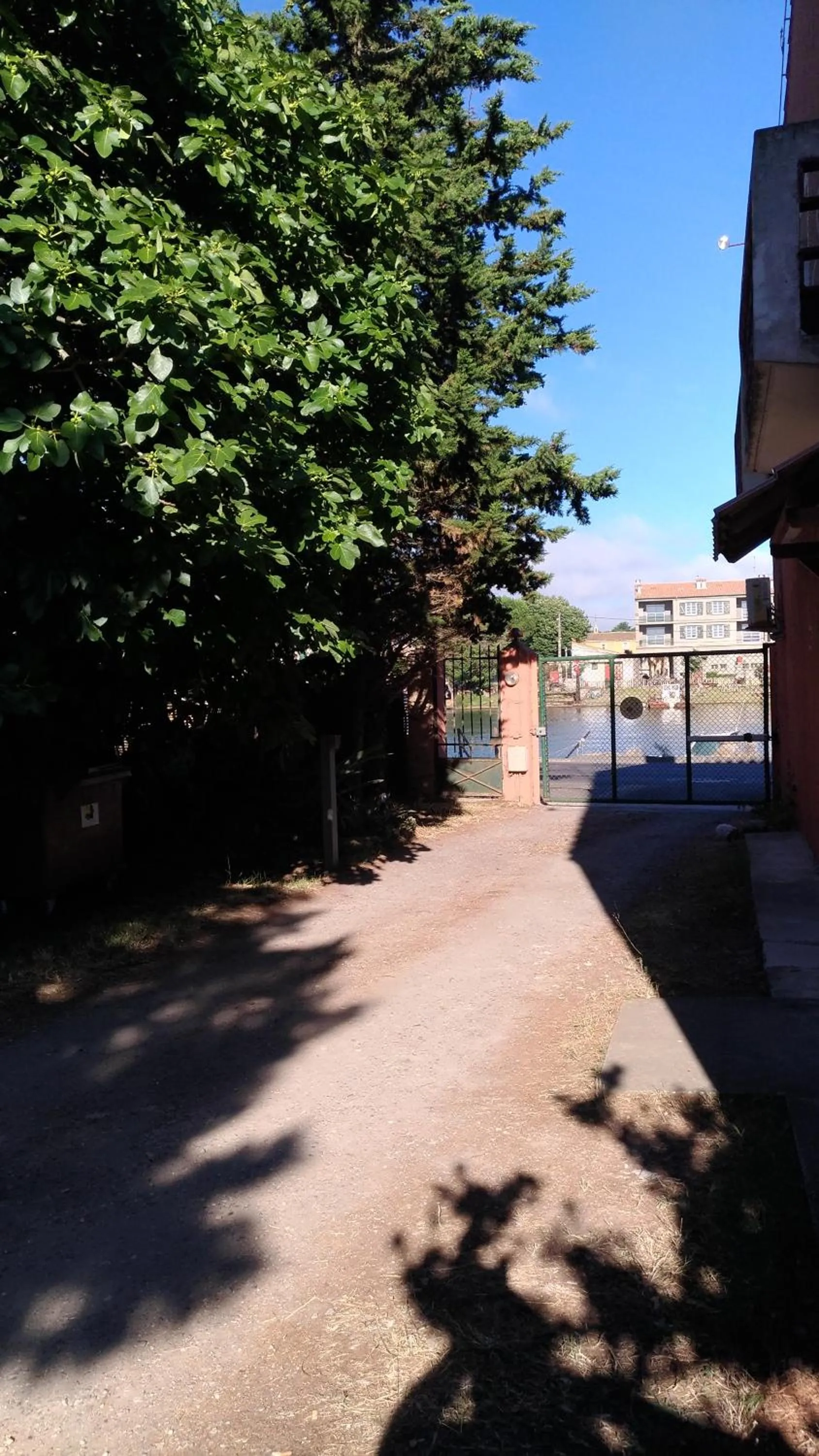 Garden in La Chaumiere d Agde