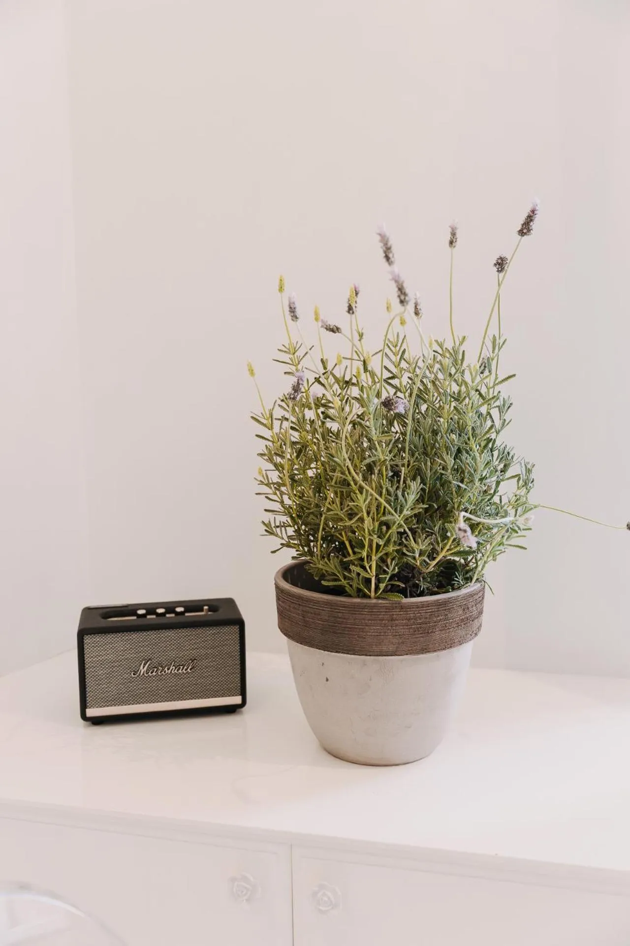 TV and multimedia in 5 Hermoupolis Concept Sites