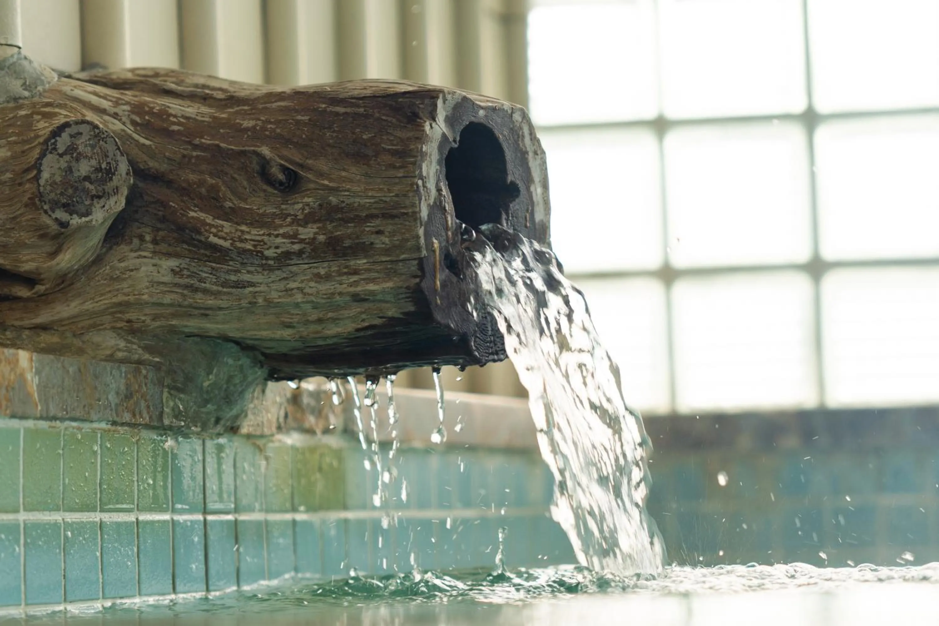 Public Bath in Business Hotel Ueno