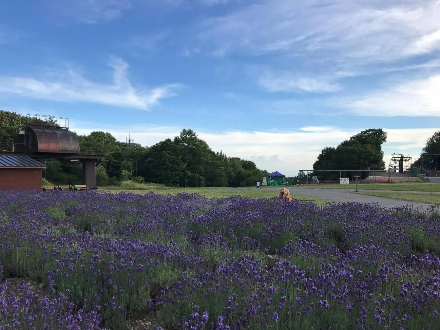 Nearby landmark in Pension Rapport in Tambara Plateau