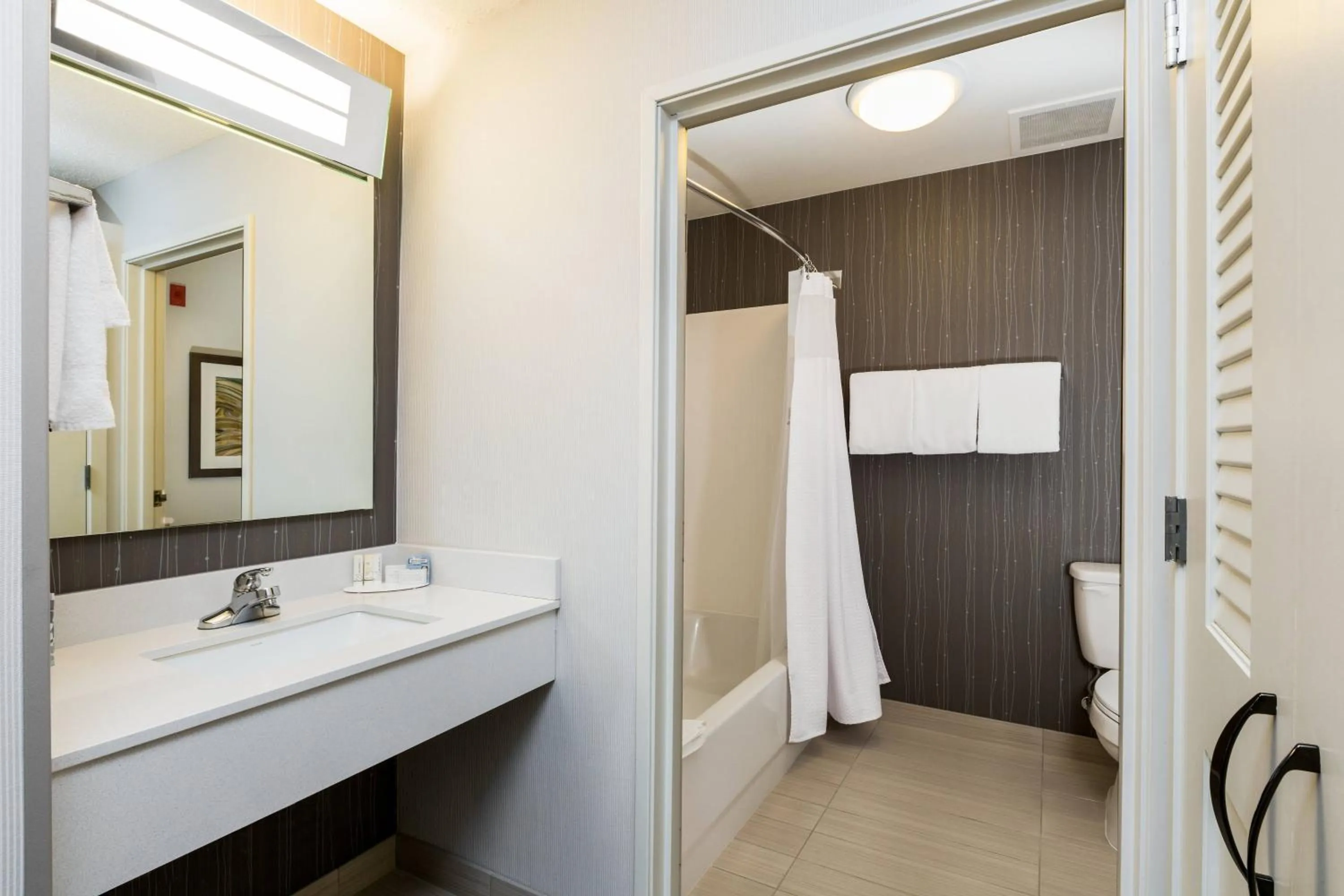 Bathroom in Courtyard Dallas Mesquite