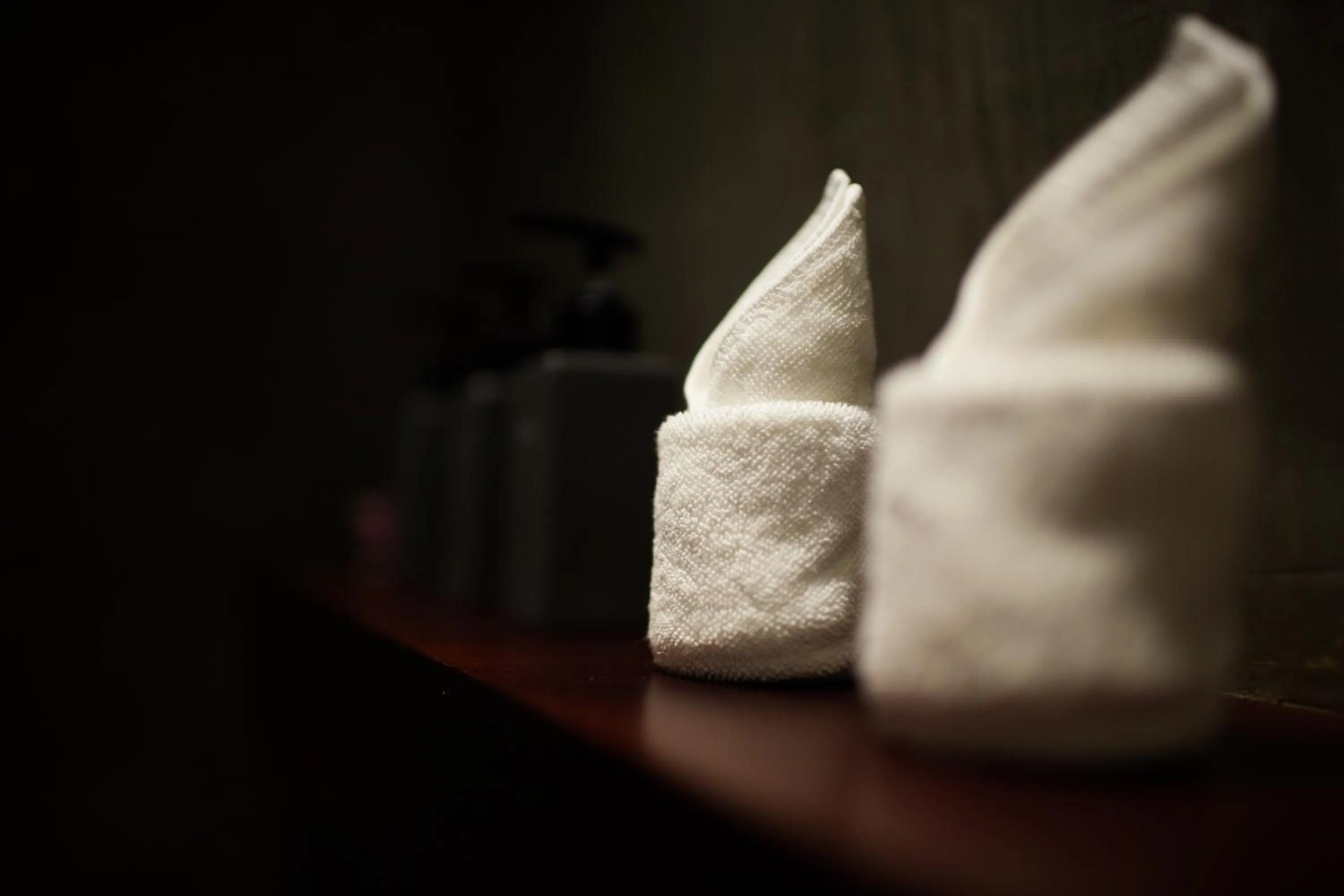 Bathroom in Golden Temple Villa