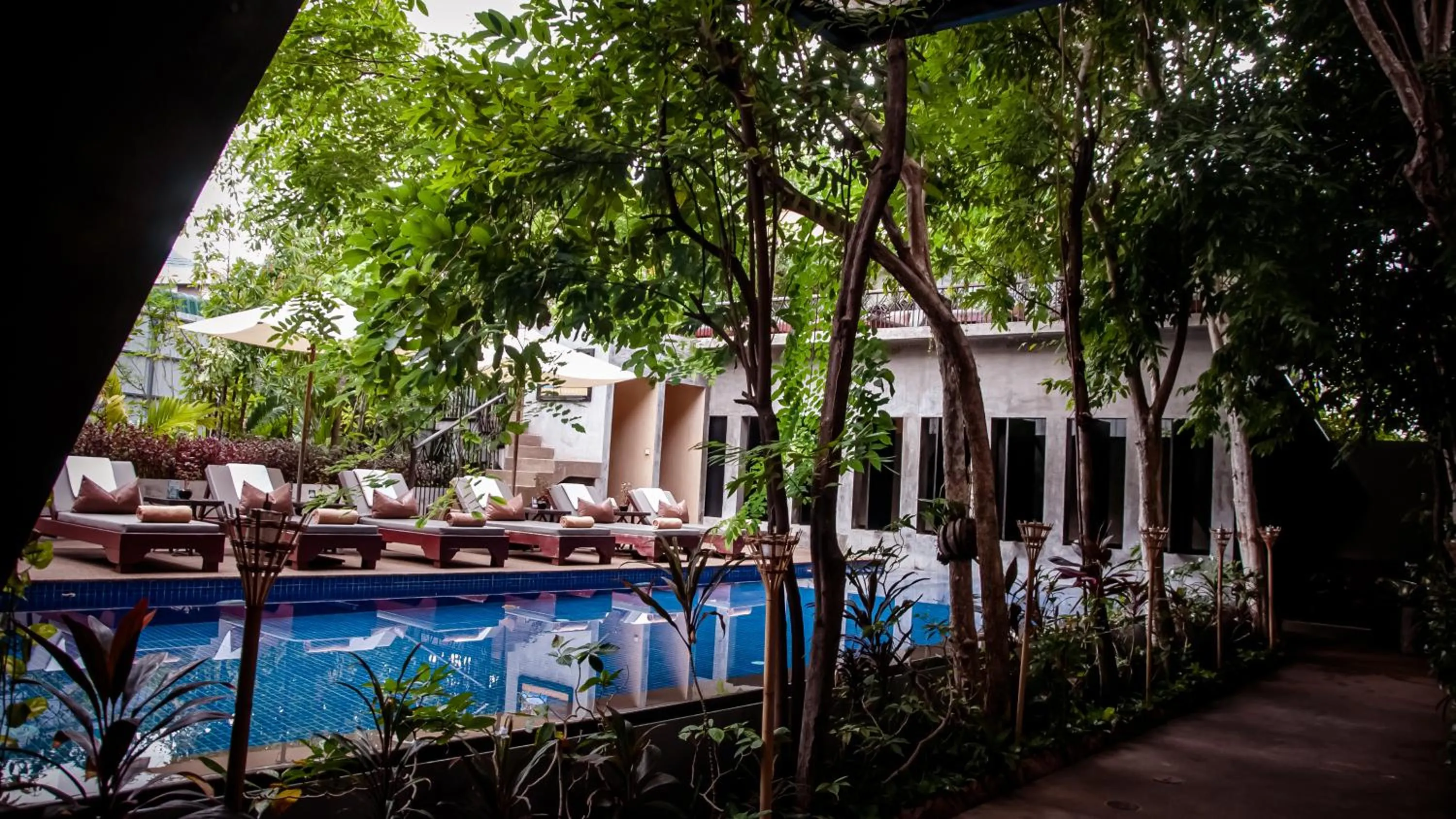 Swimming pool in Golden Temple Villa
