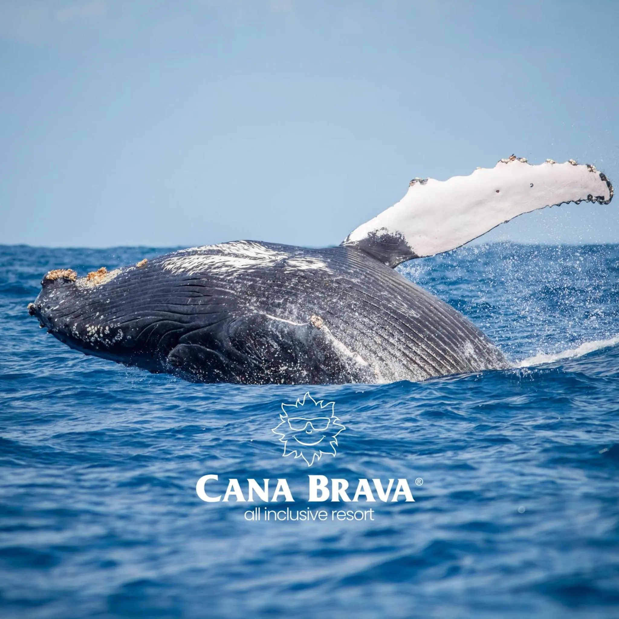 Activities in Cana Brava All Inclusive Resort