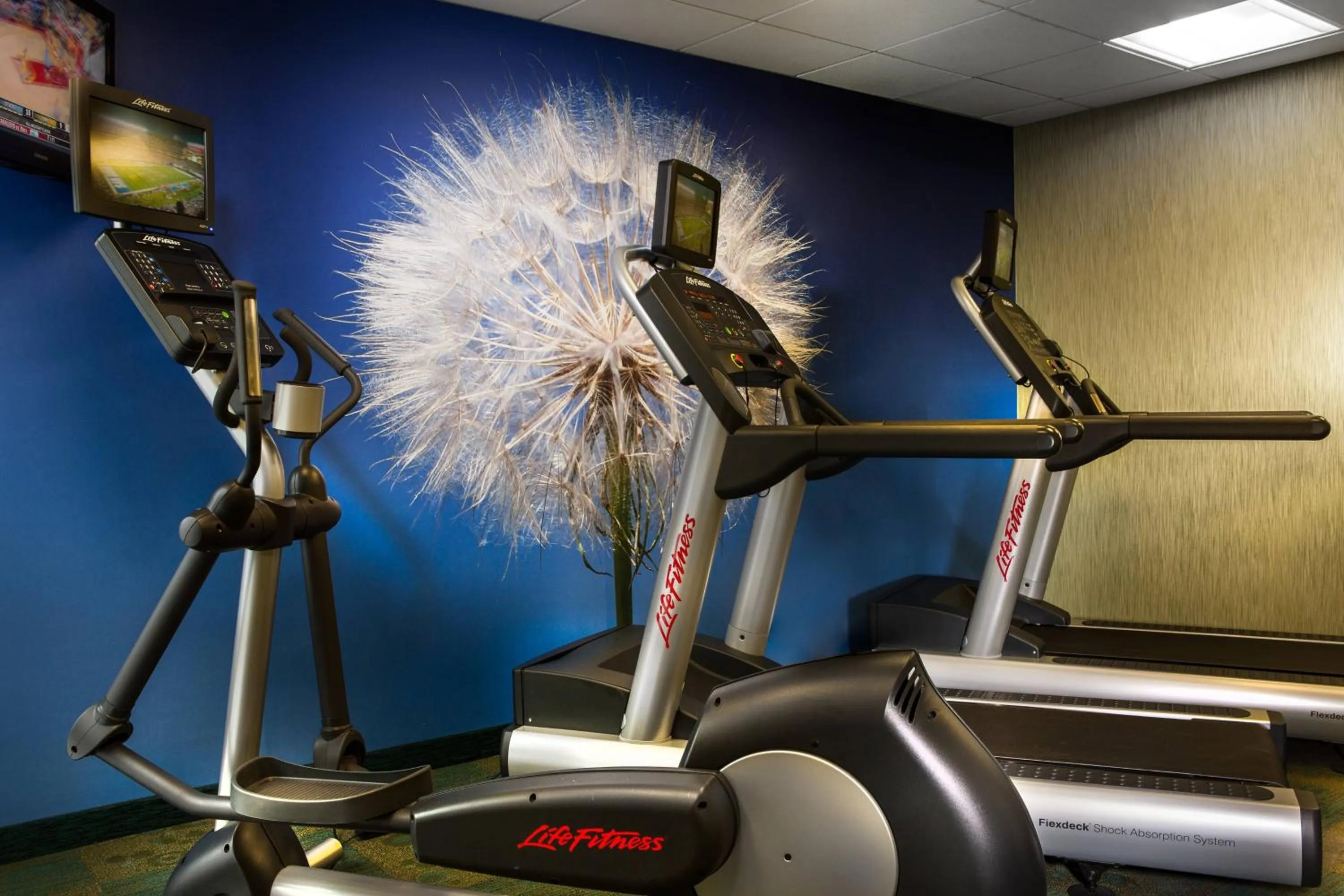 Fitness centre/facilities in SpringHill Suites Dallas DFW Airport North/Grapevine