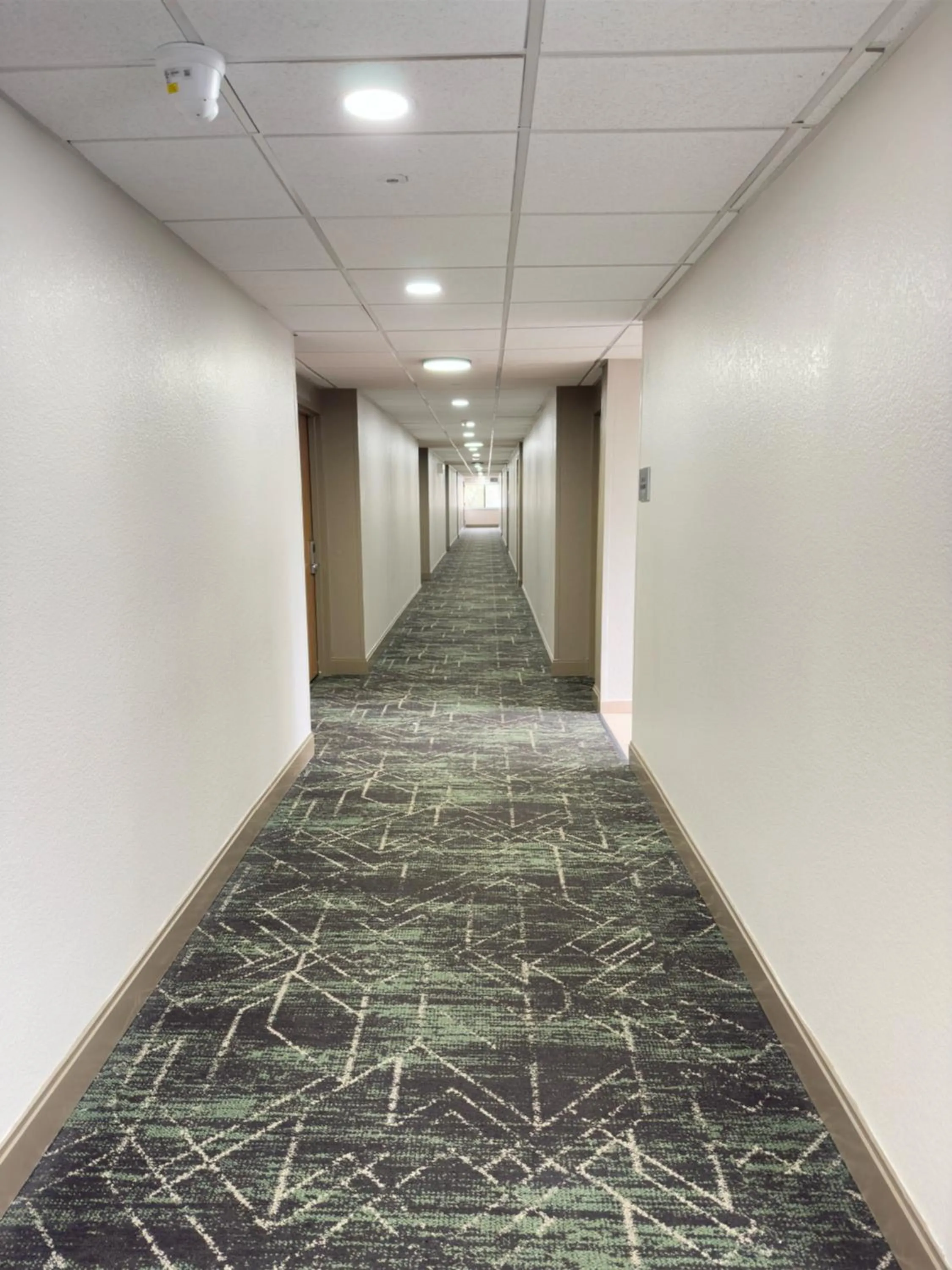 Property building in Super 8 by Wyndham Dallas Love Field Airport