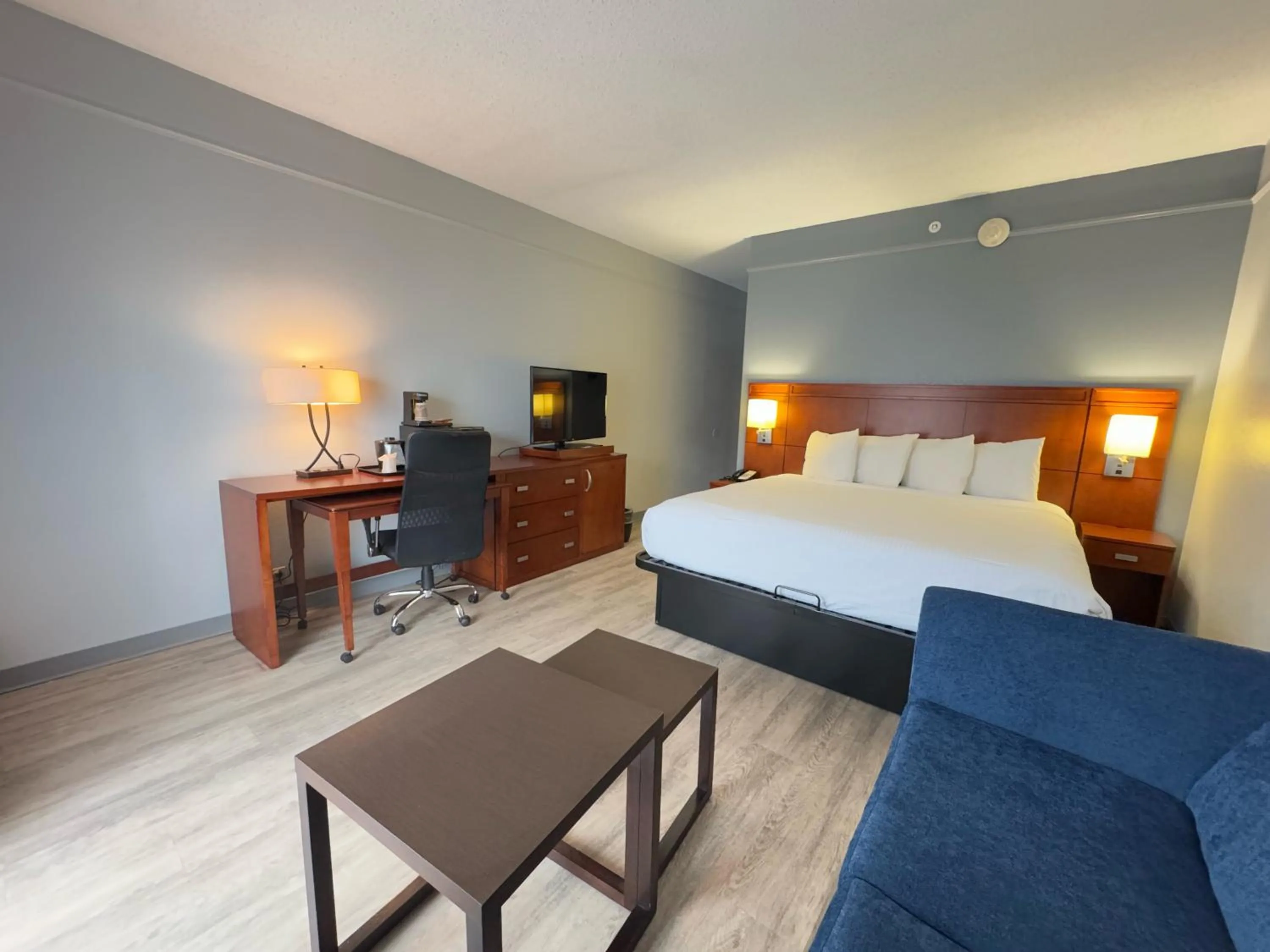 Bed in Super 8 by Wyndham Dallas Love Field Airport