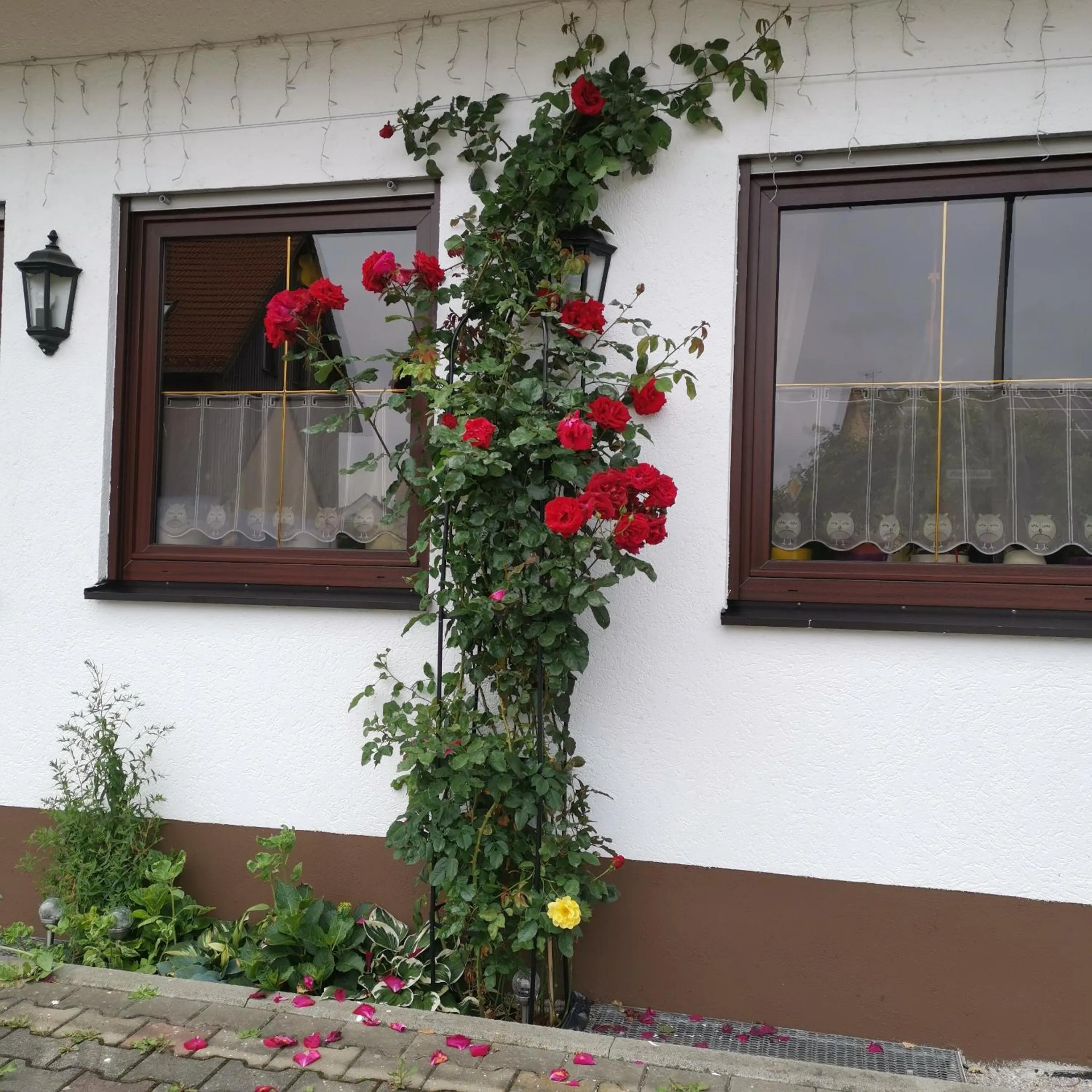 Property building in Frankenstube-Winkelhaid