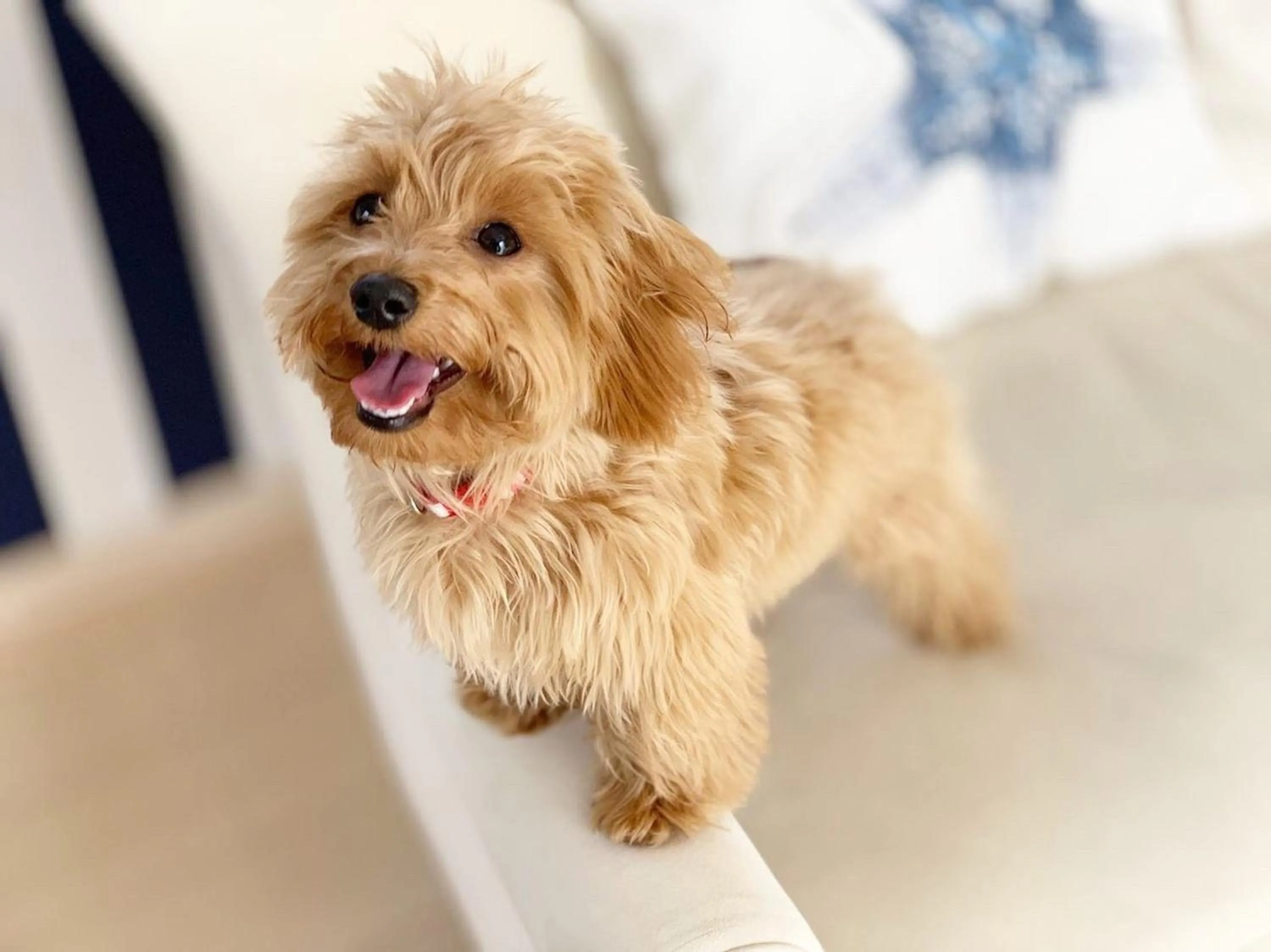 Animals in Marine House KAKISAKI