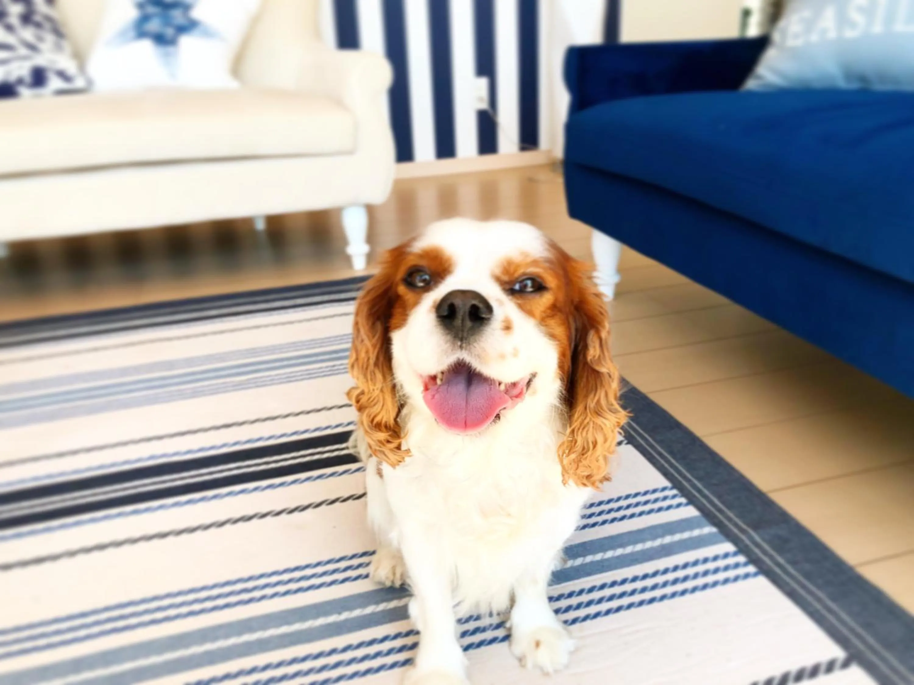 Animals in Marine House KAKISAKI