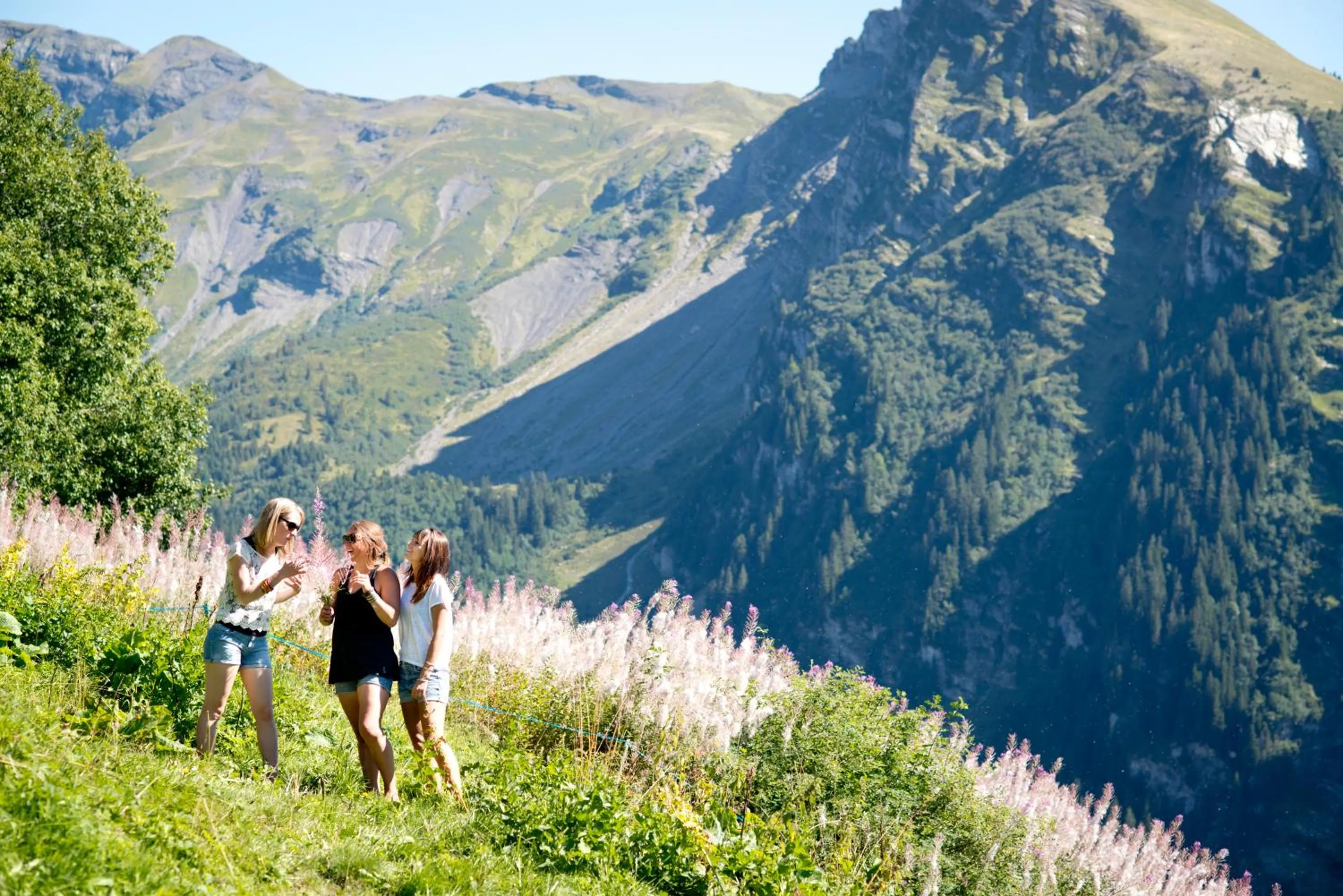 Natural landscape in Hôtel des Dromonts by SOWELL COLLECTION