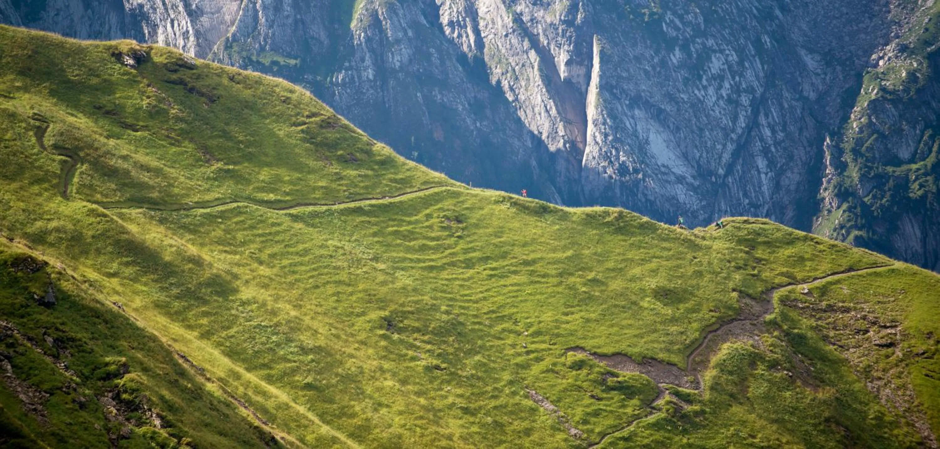 Natural landscape in Hôtel des Dromonts by SOWELL COLLECTION