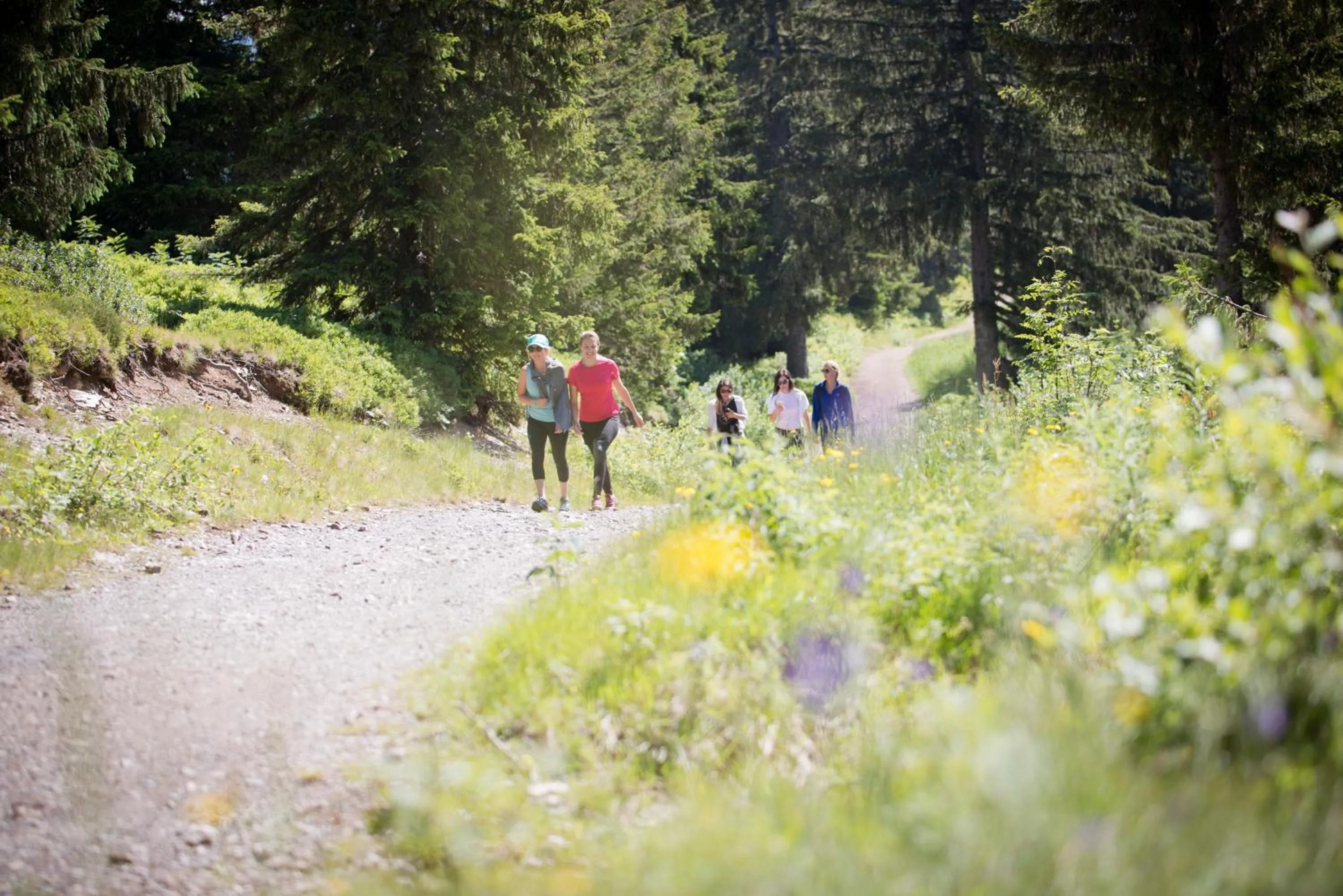 Activities in Hôtel des Dromonts by SOWELL COLLECTION