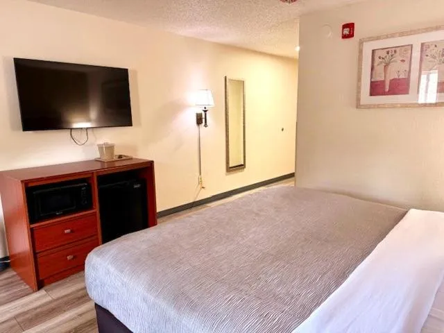 Bed in Quality Inn & Suites Golden - Denver West