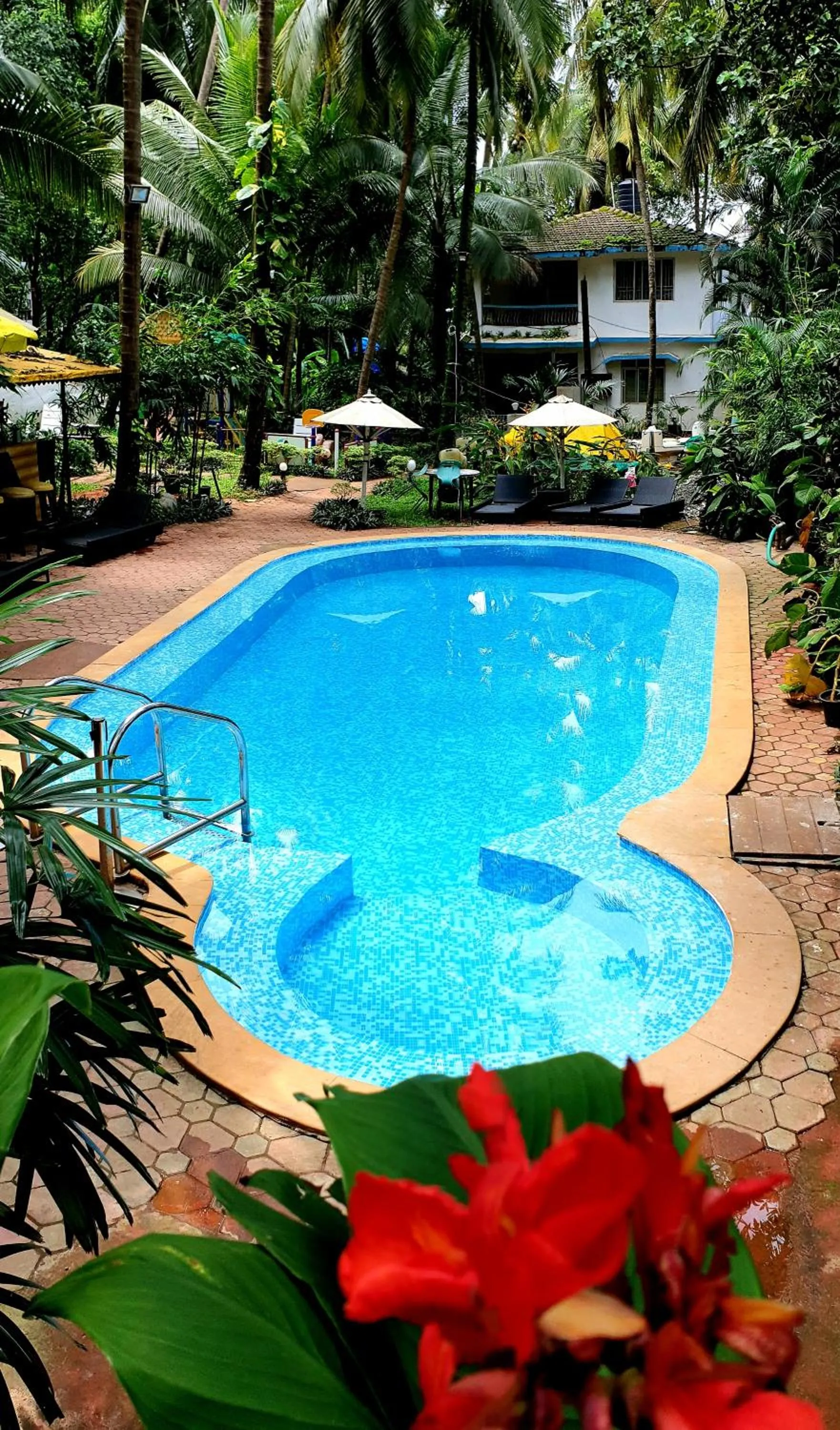 Swimming pool in The Camelot Beach Resort - Baga